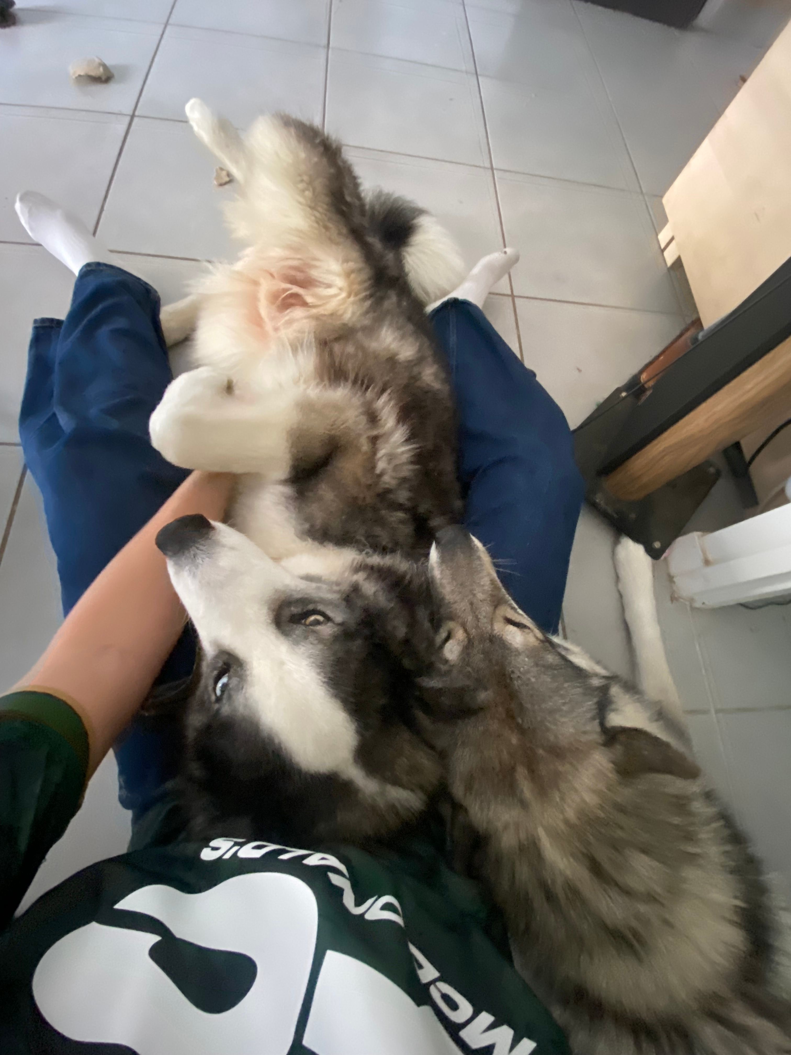image-6
