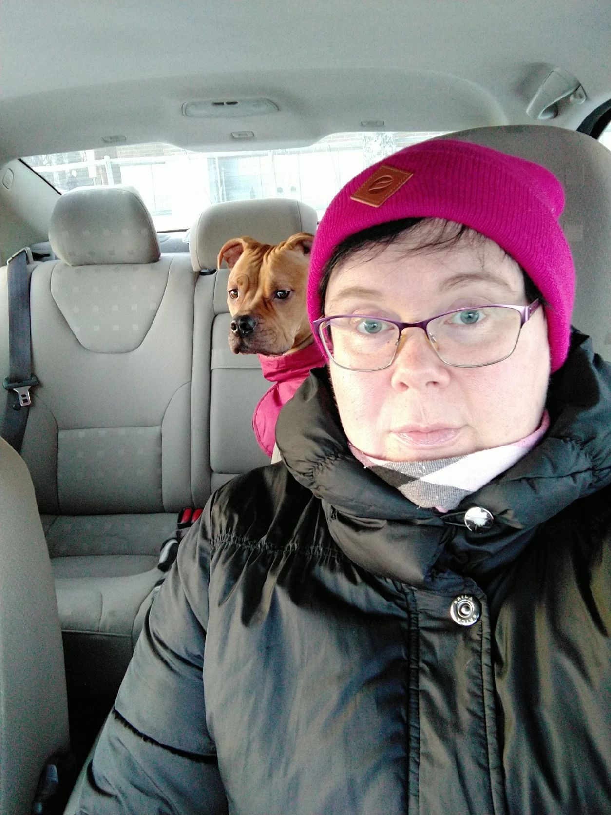 image-4