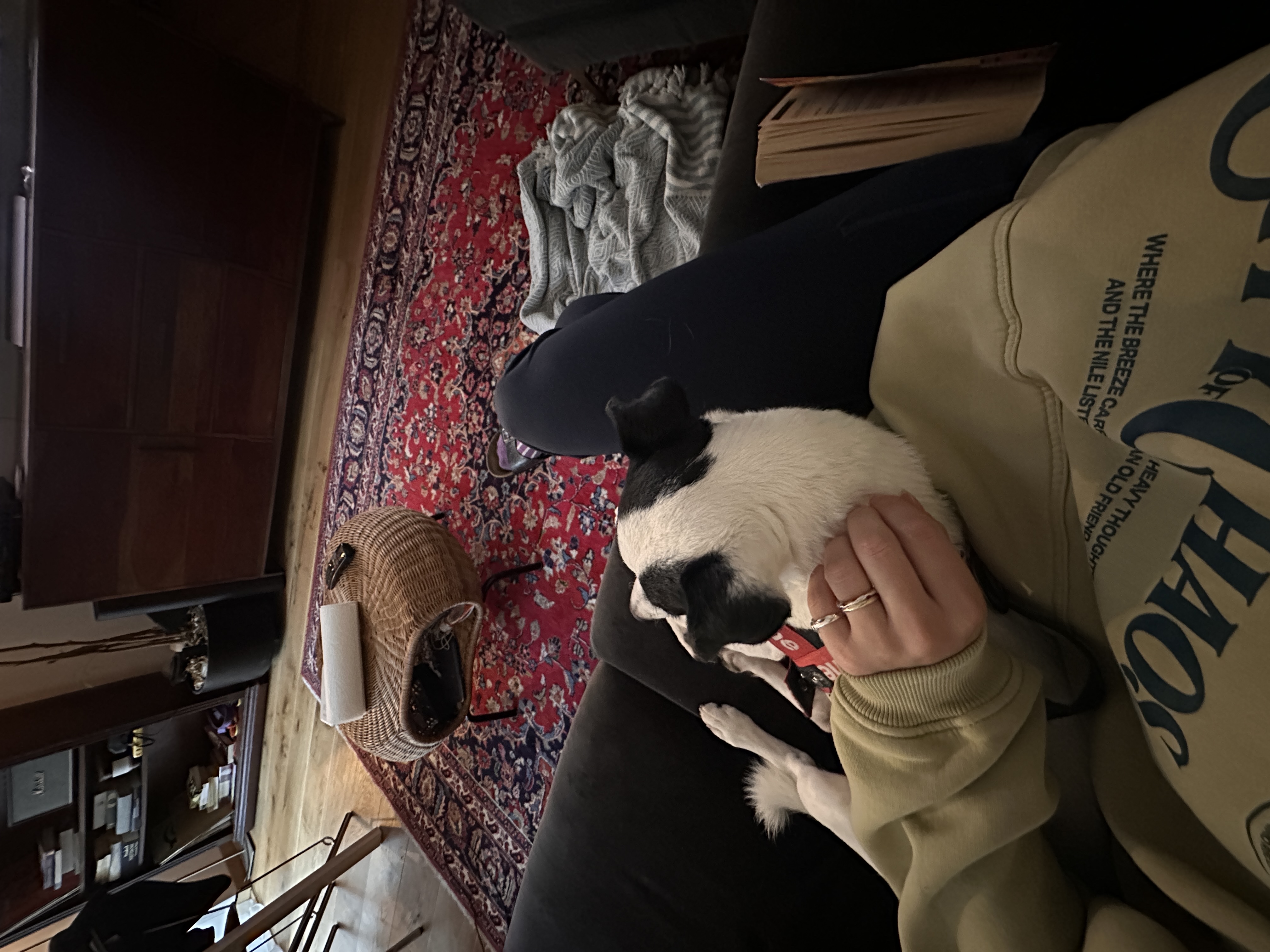 image-9