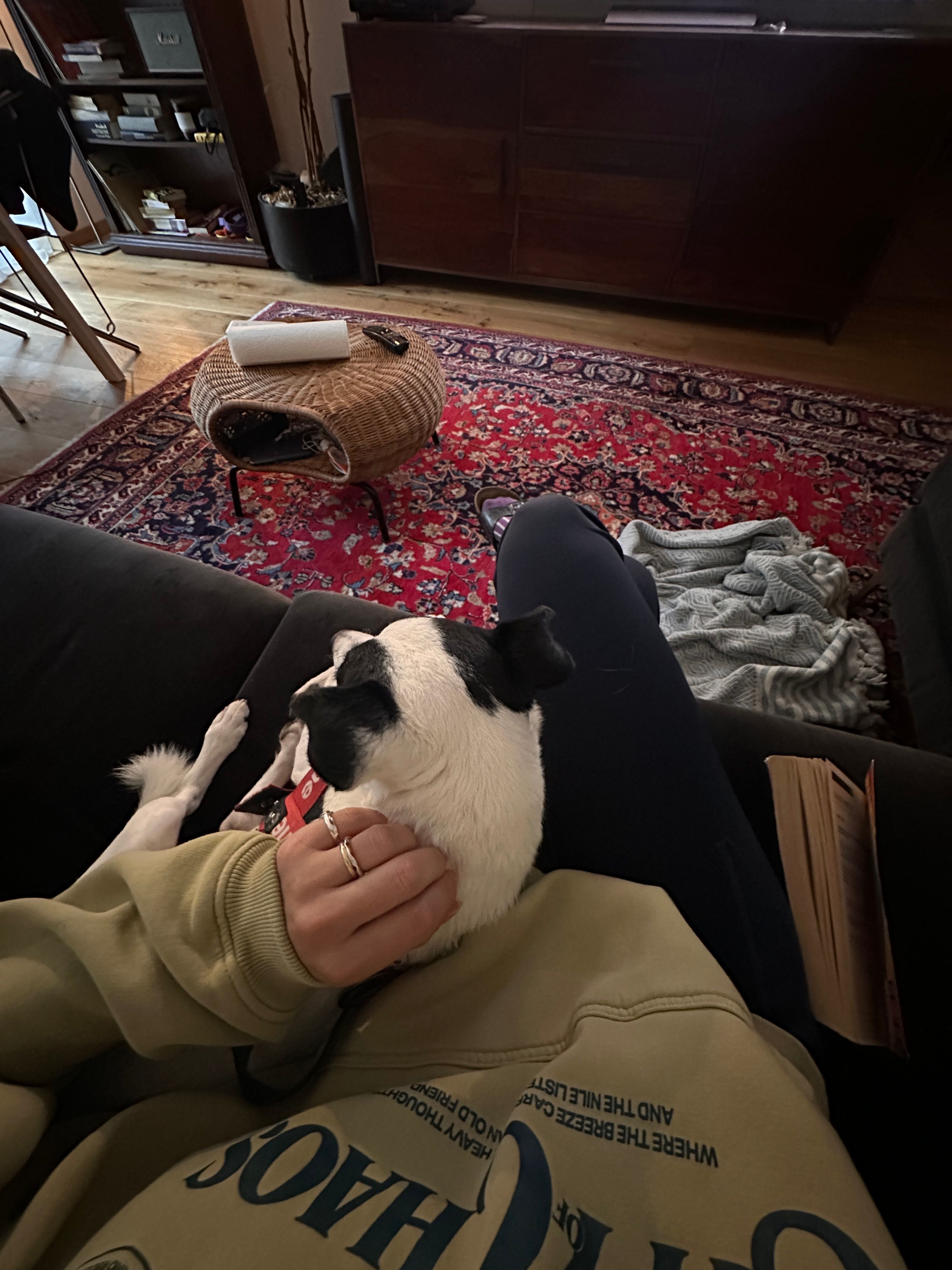 image-9