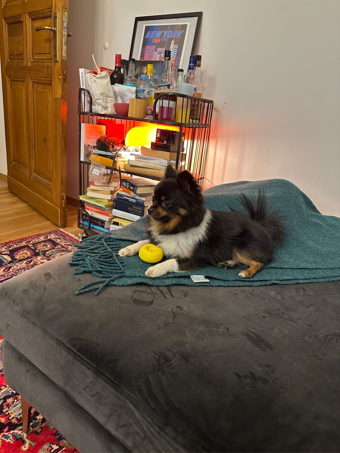 image-9