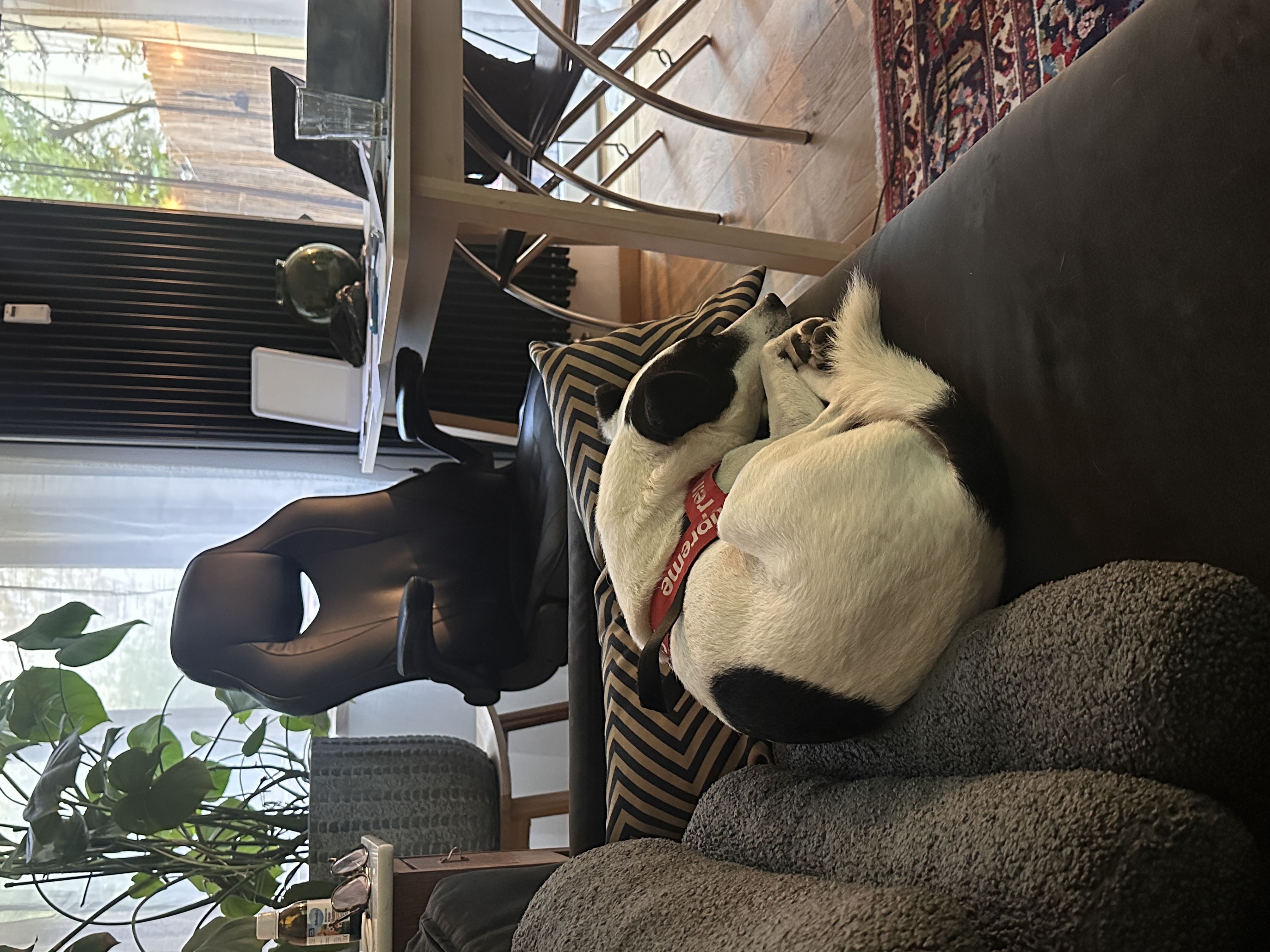 image-6