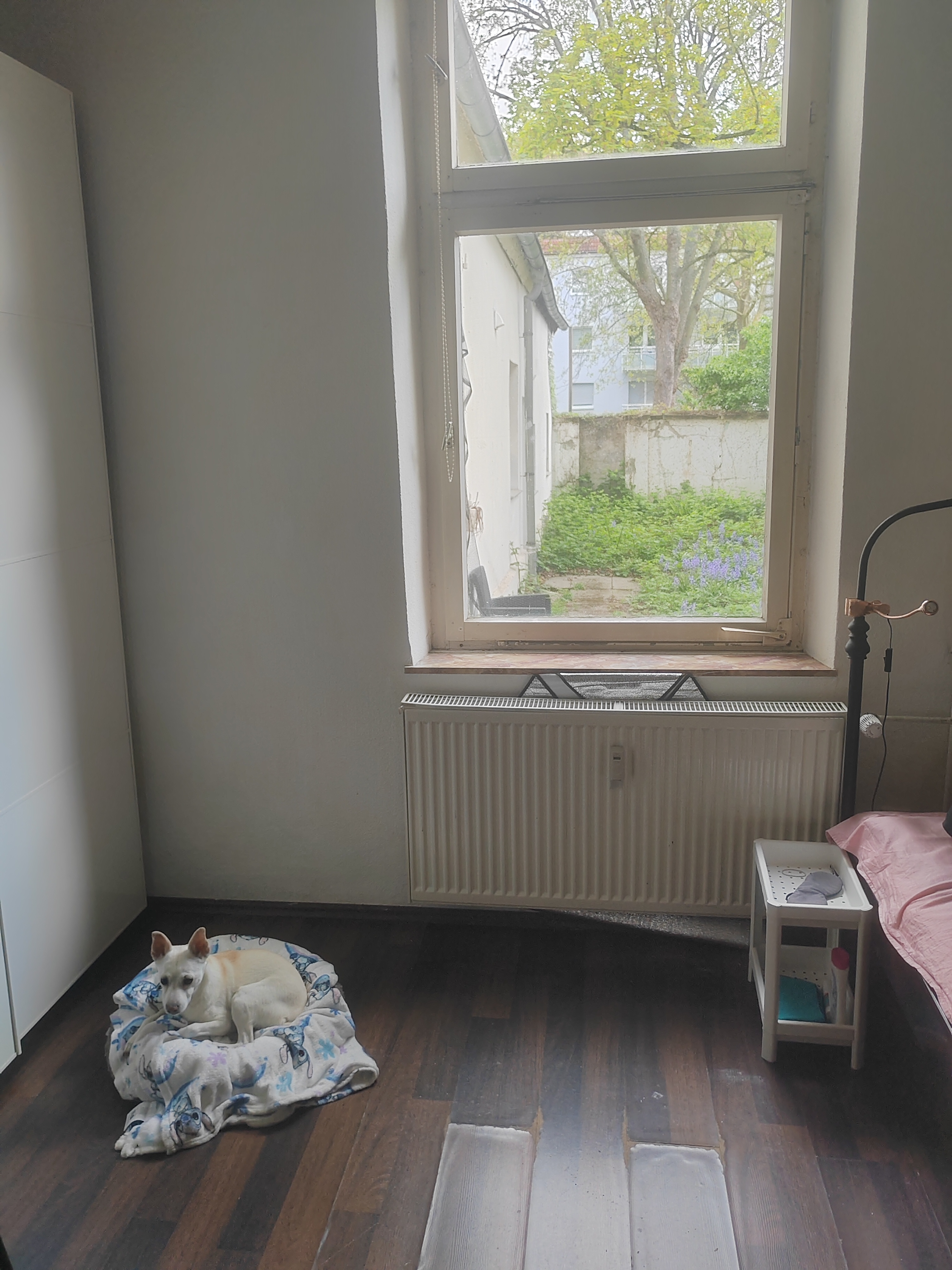 image-16