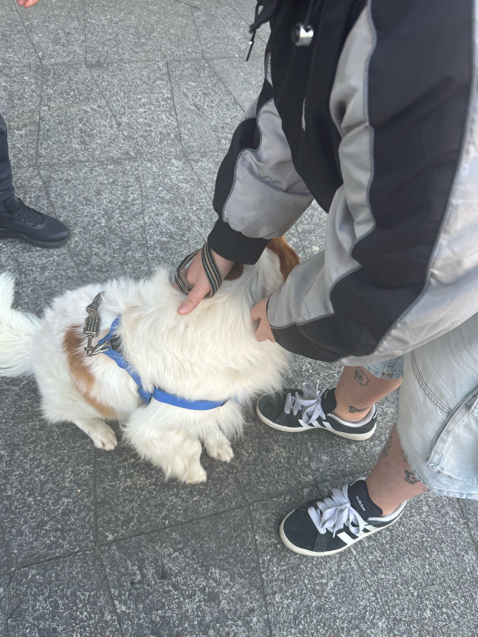 image-7