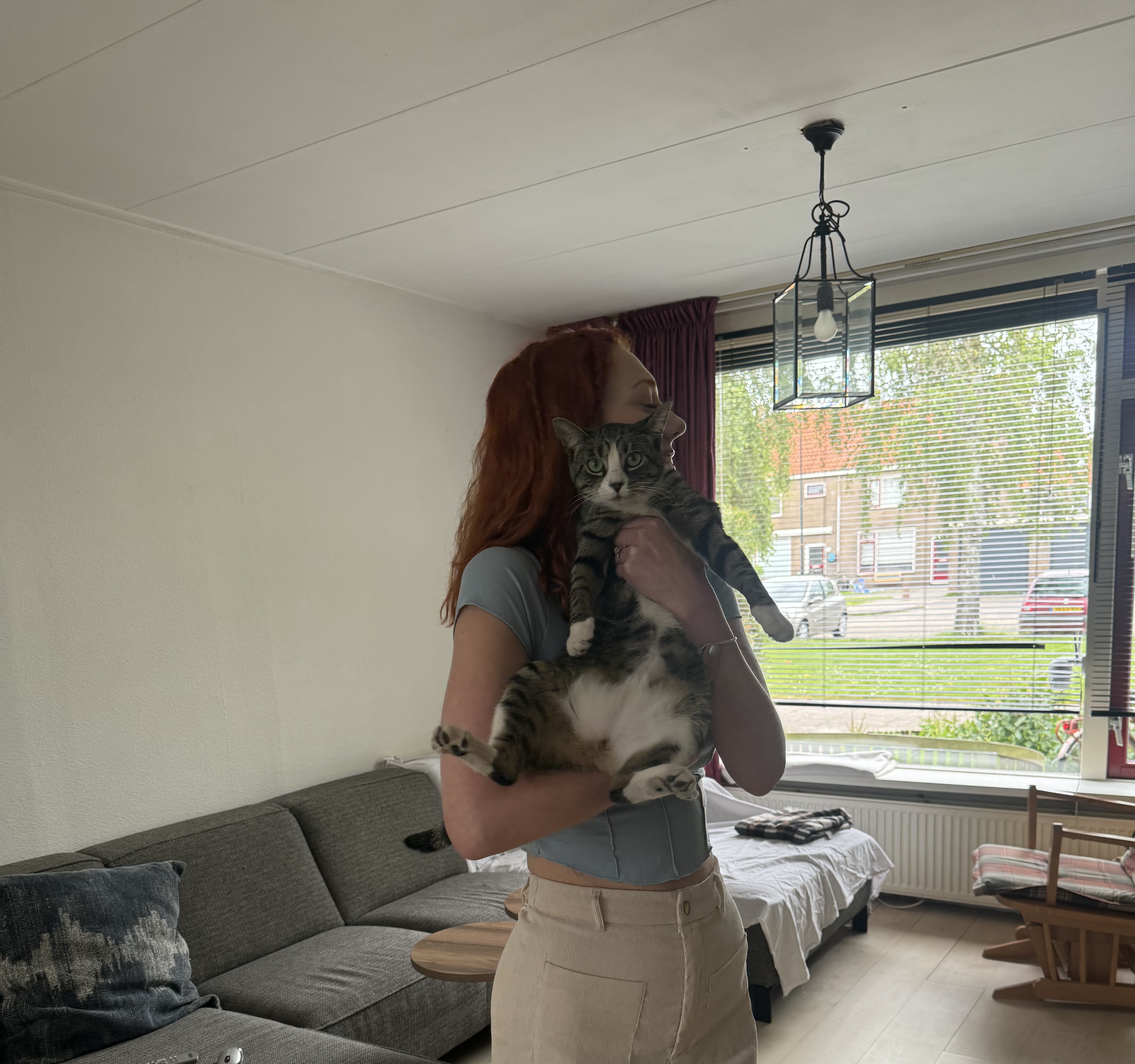 image-11