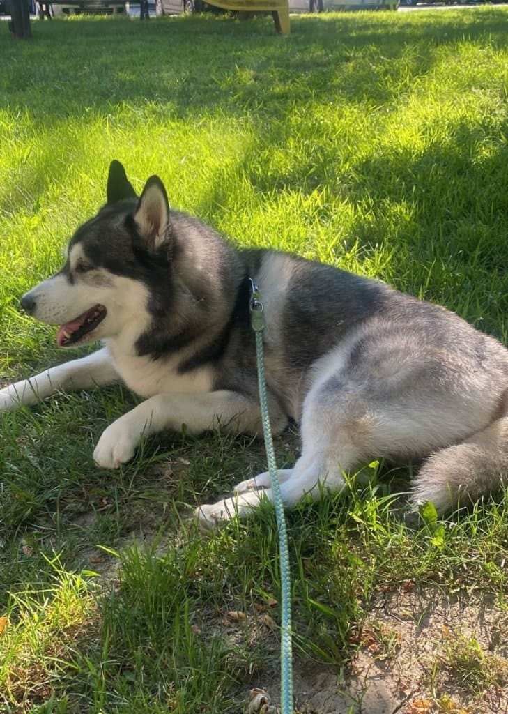 image-9