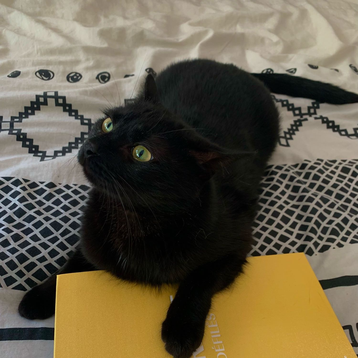 Onyx