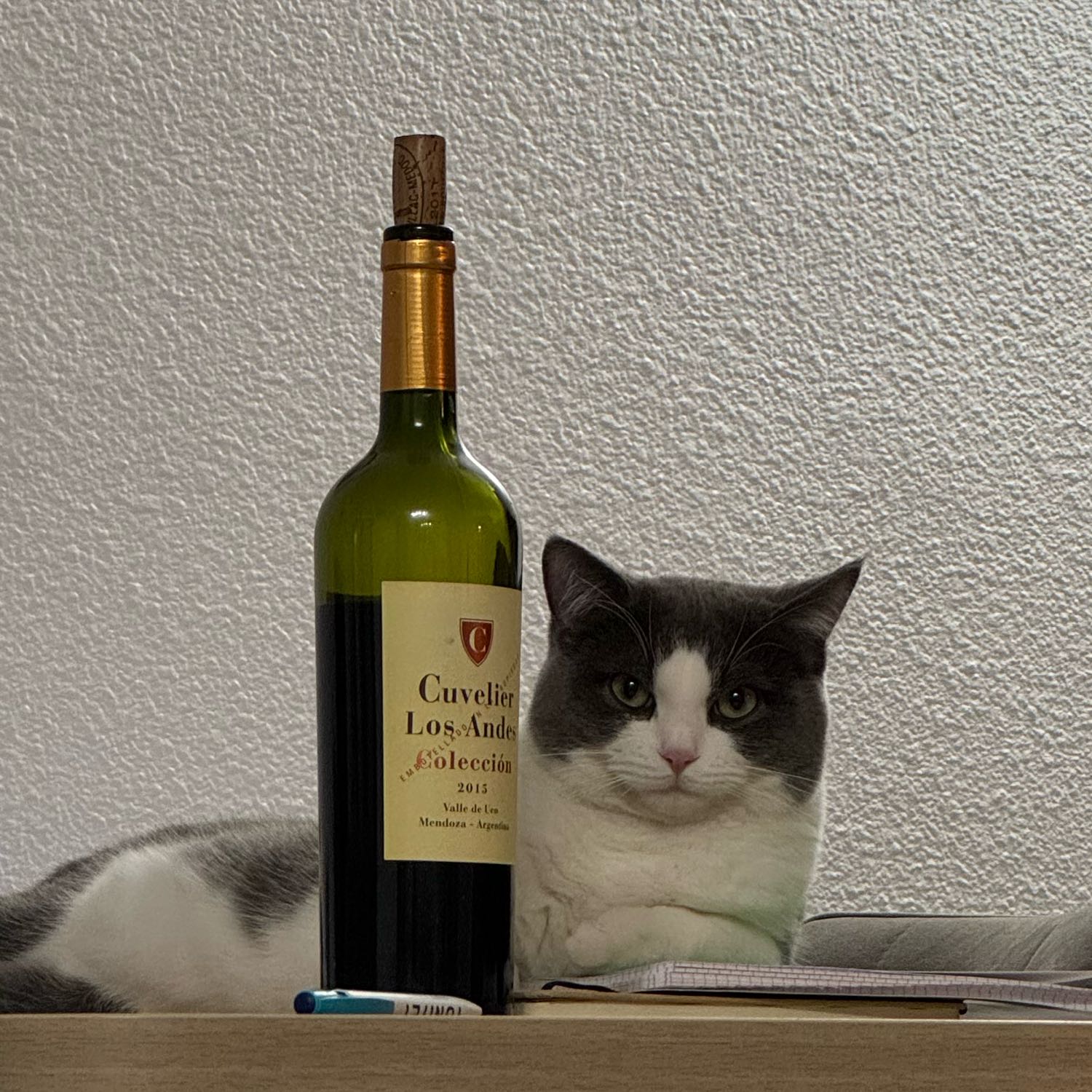 Zeubi