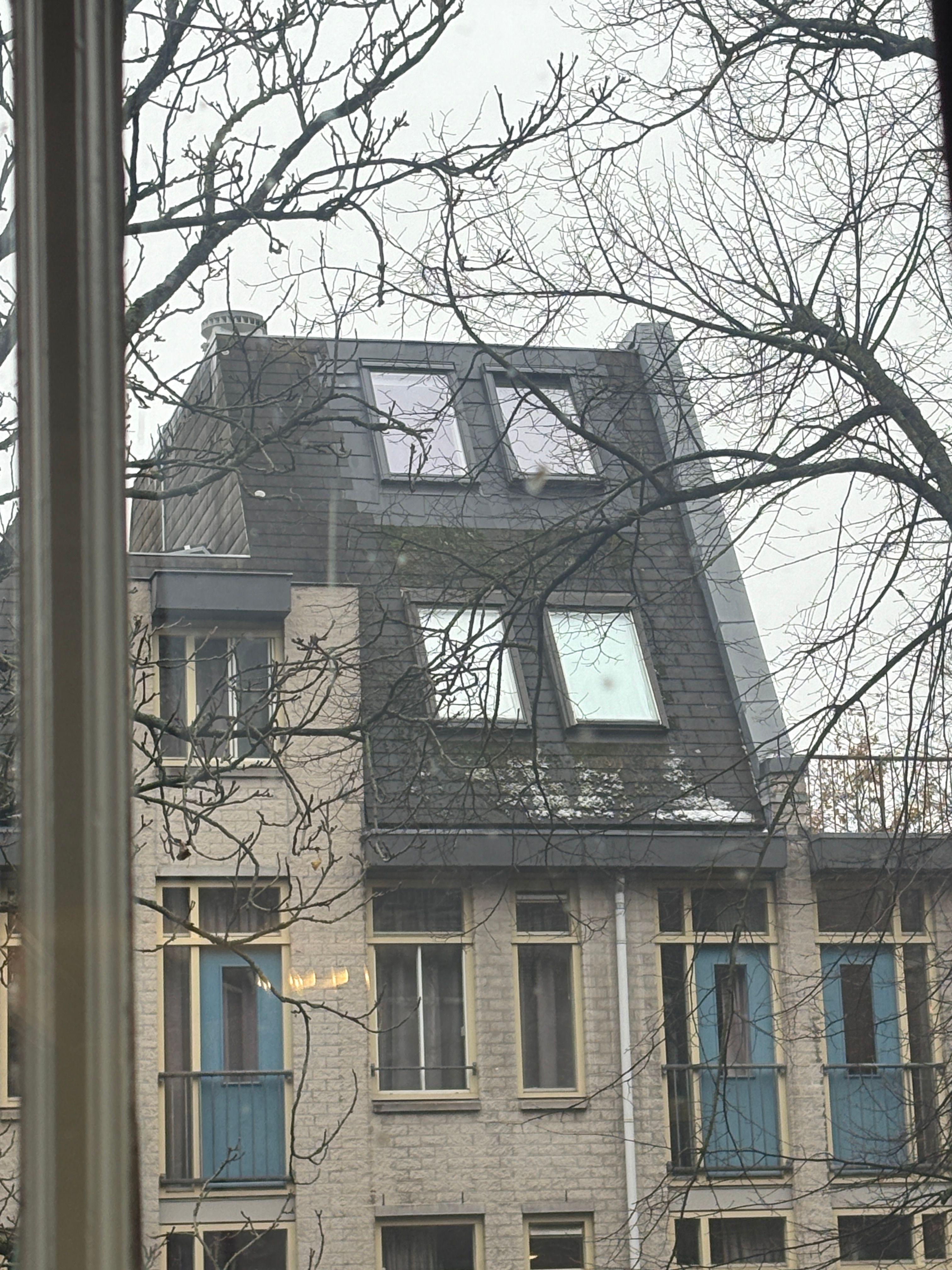 image-7