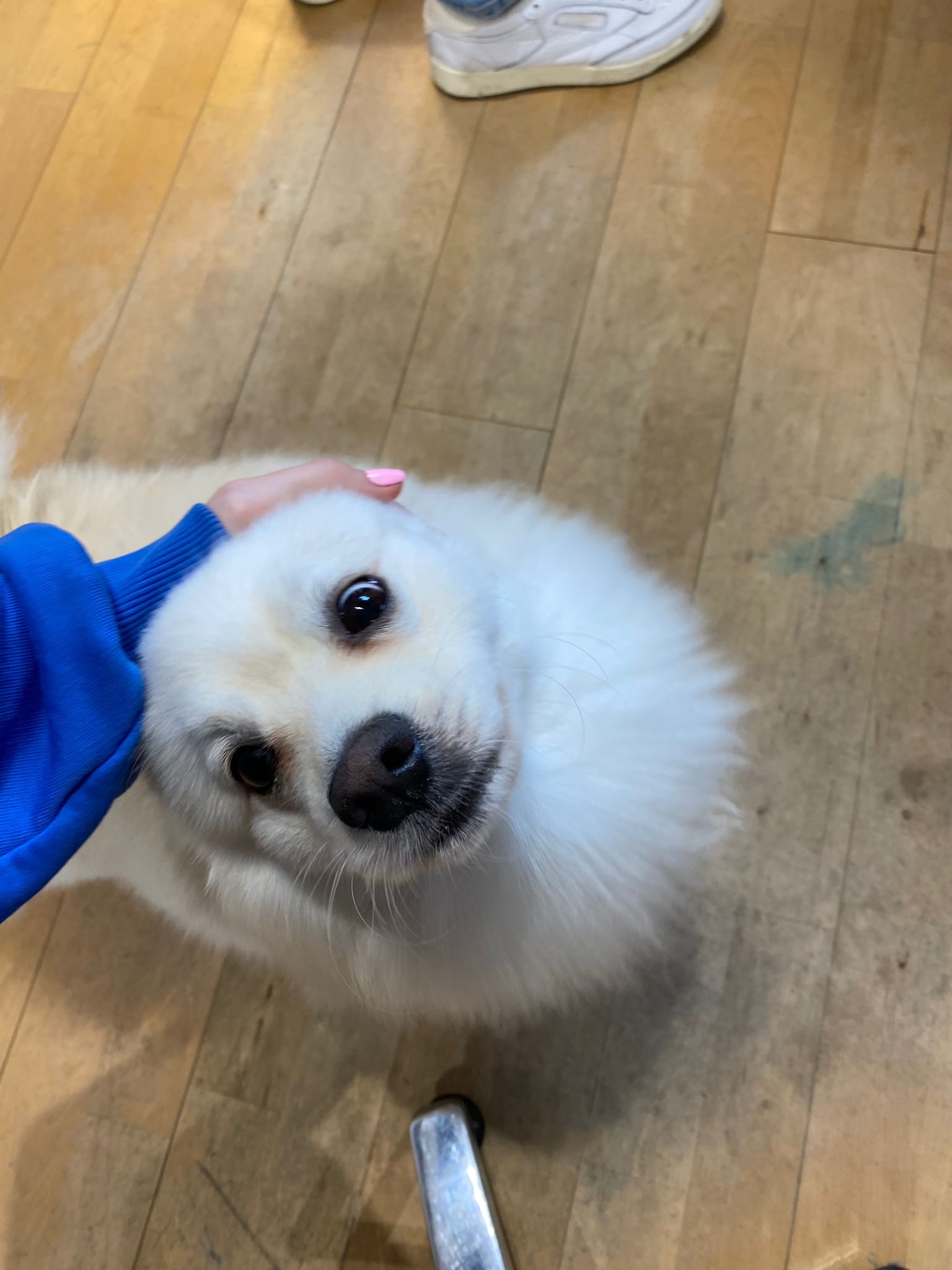 image-8
