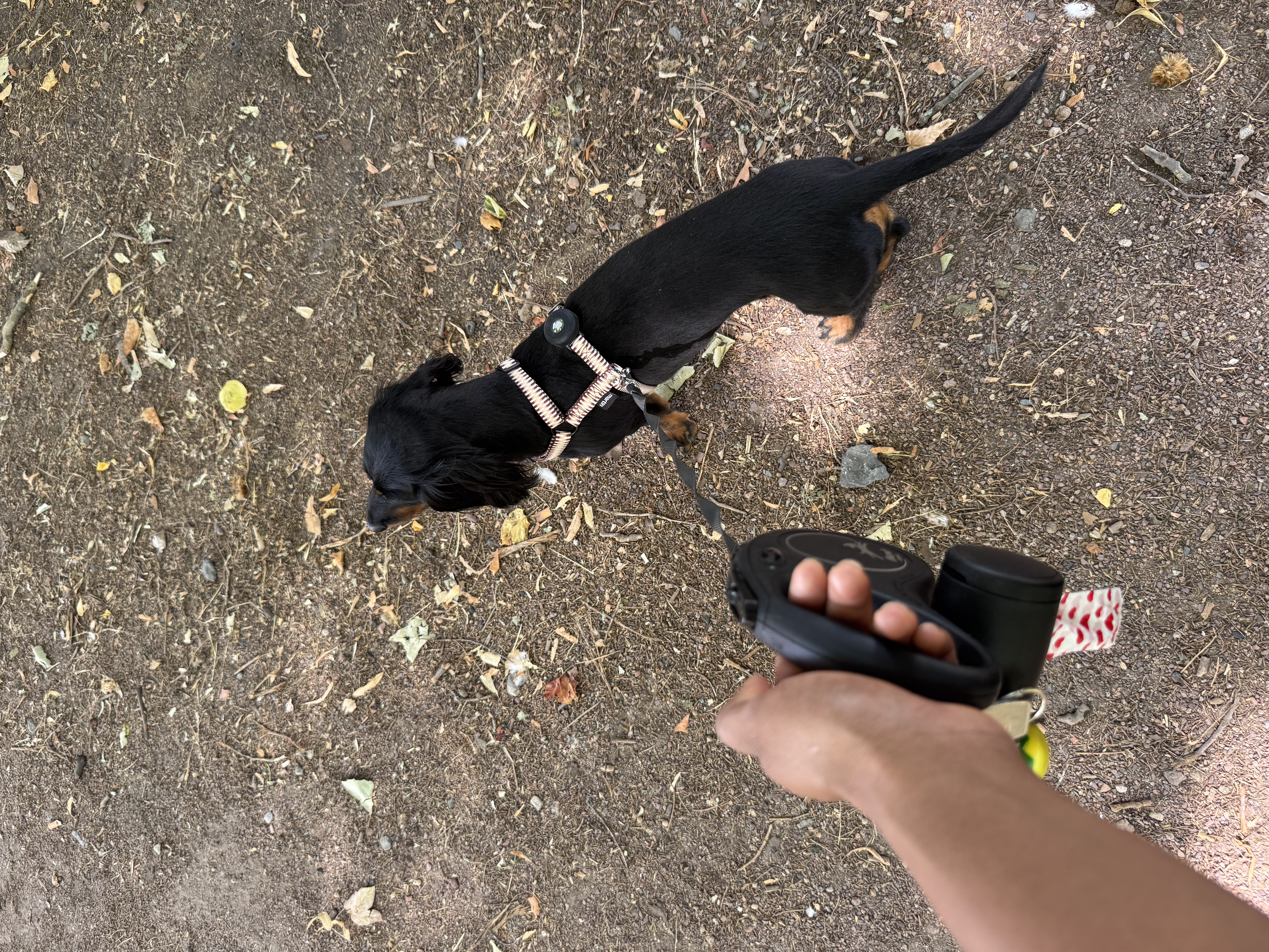 image-13