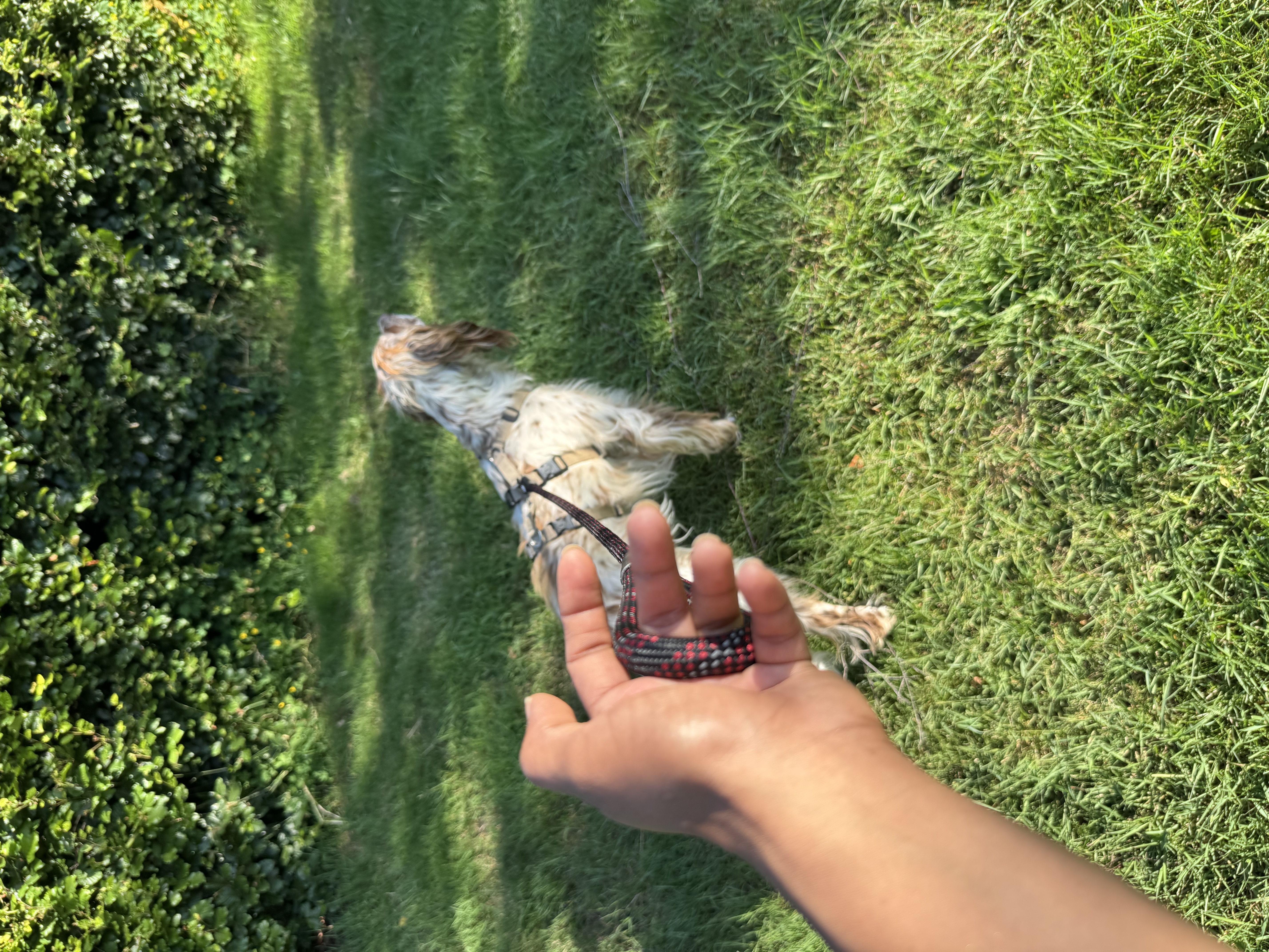 image-8