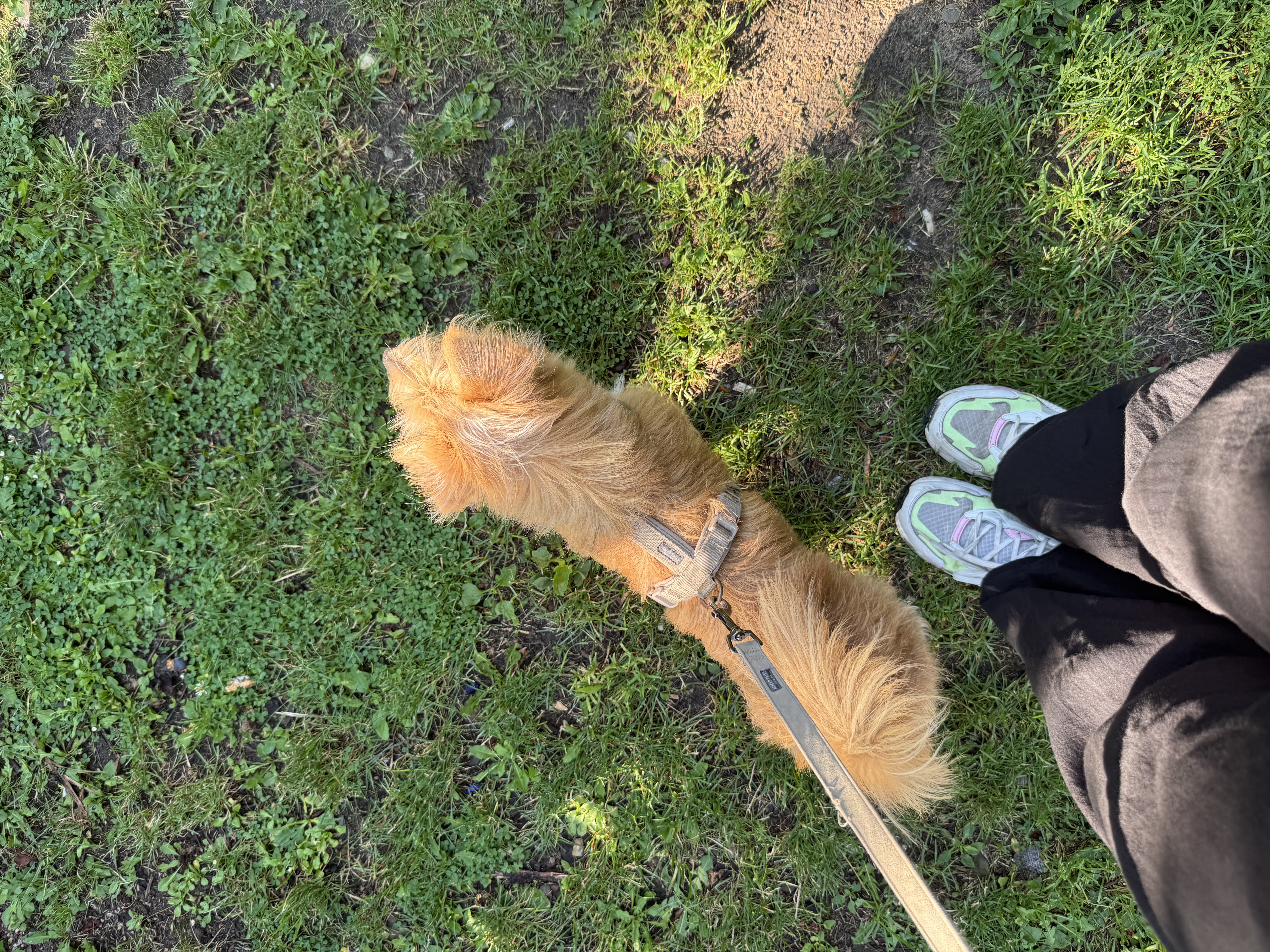 image-9