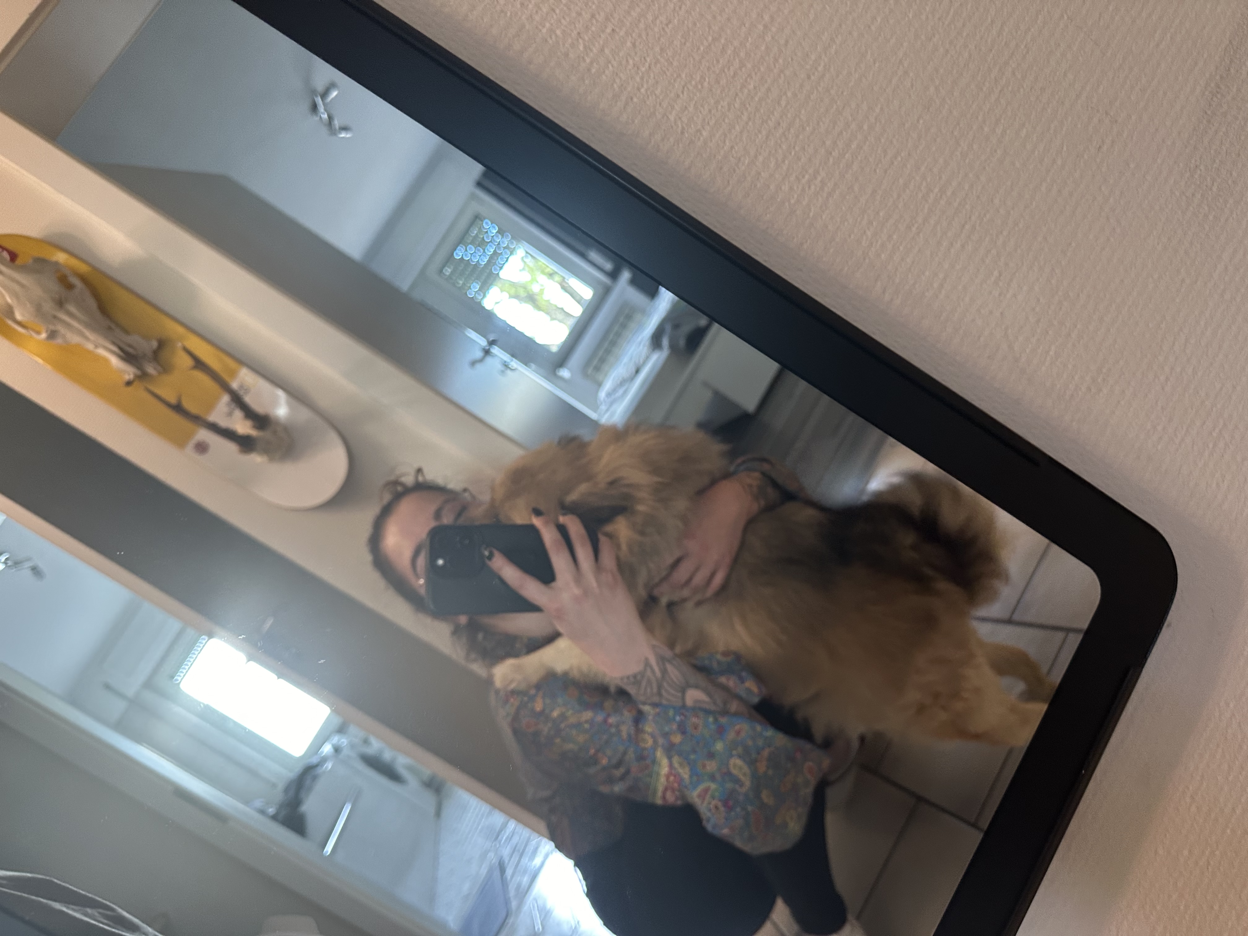 image-6
