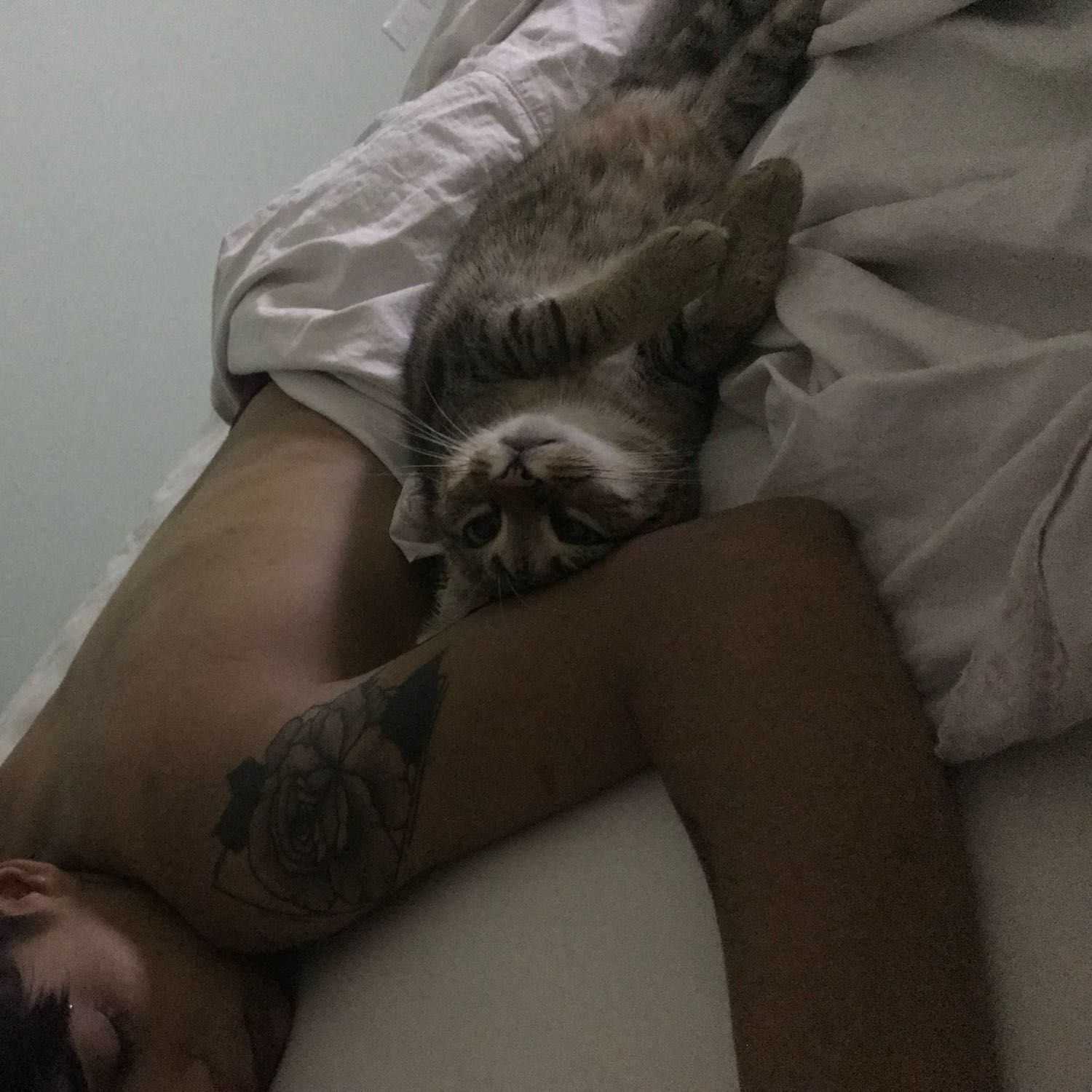 Mia
