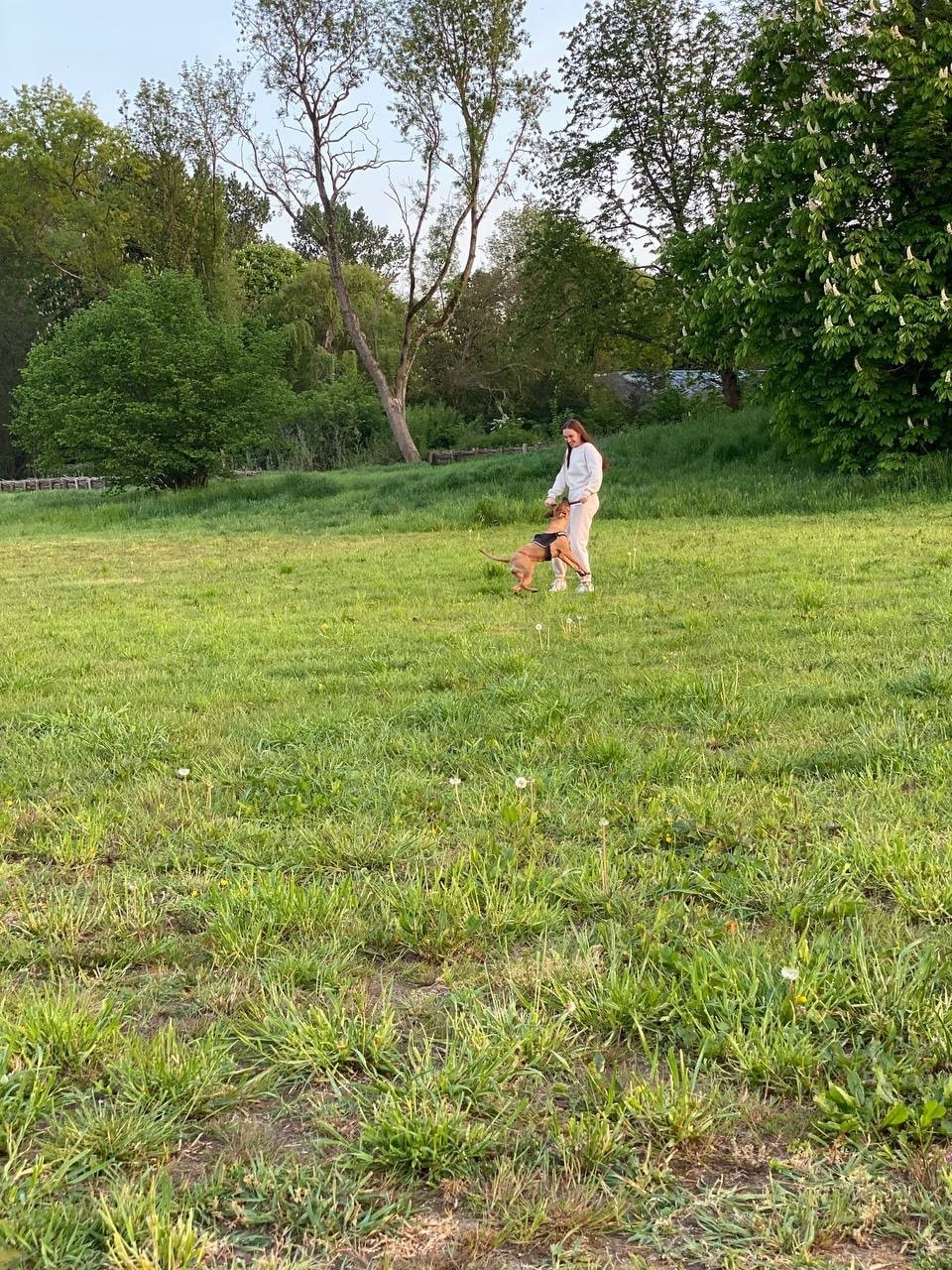 image-26