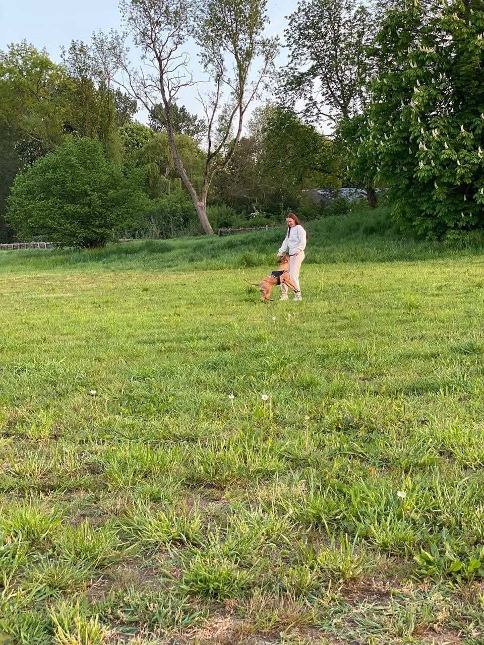 image-26