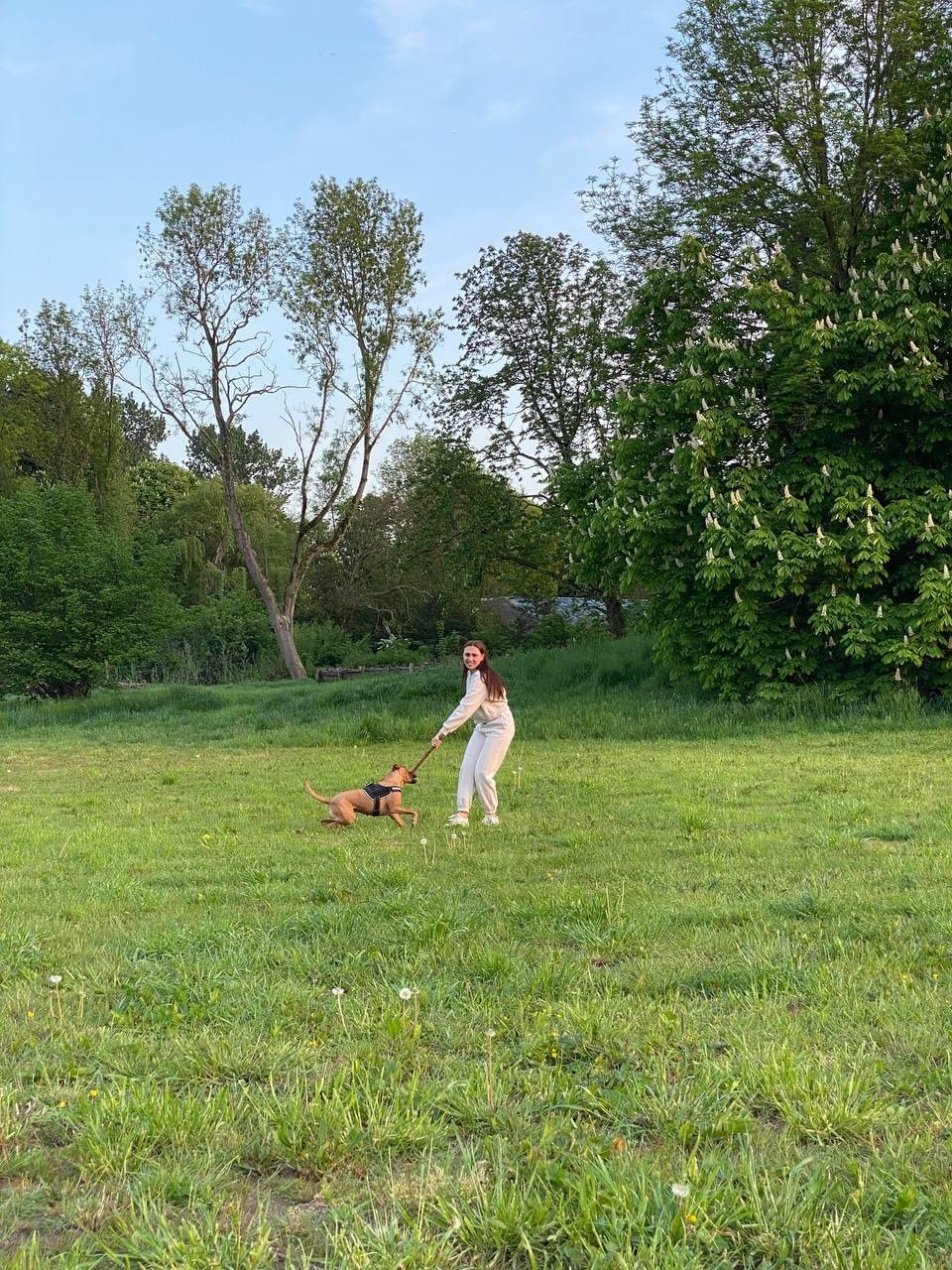 image-25