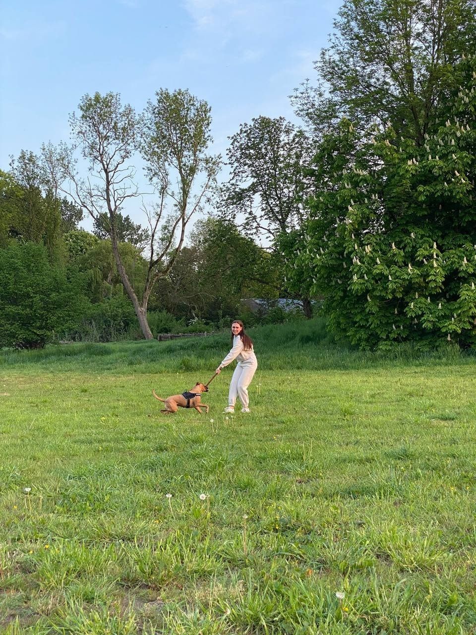 image-25