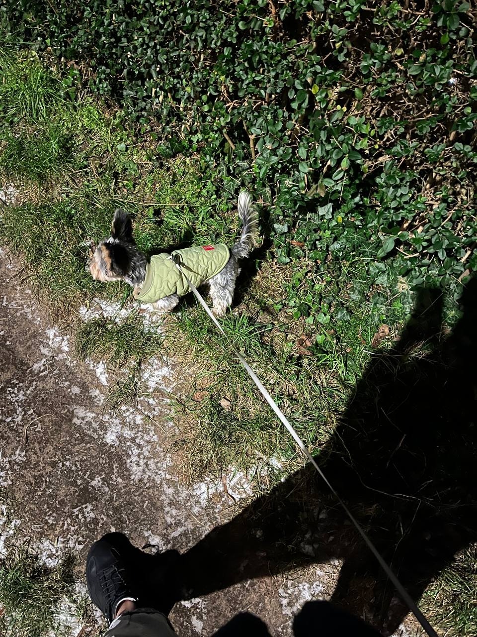 image-3