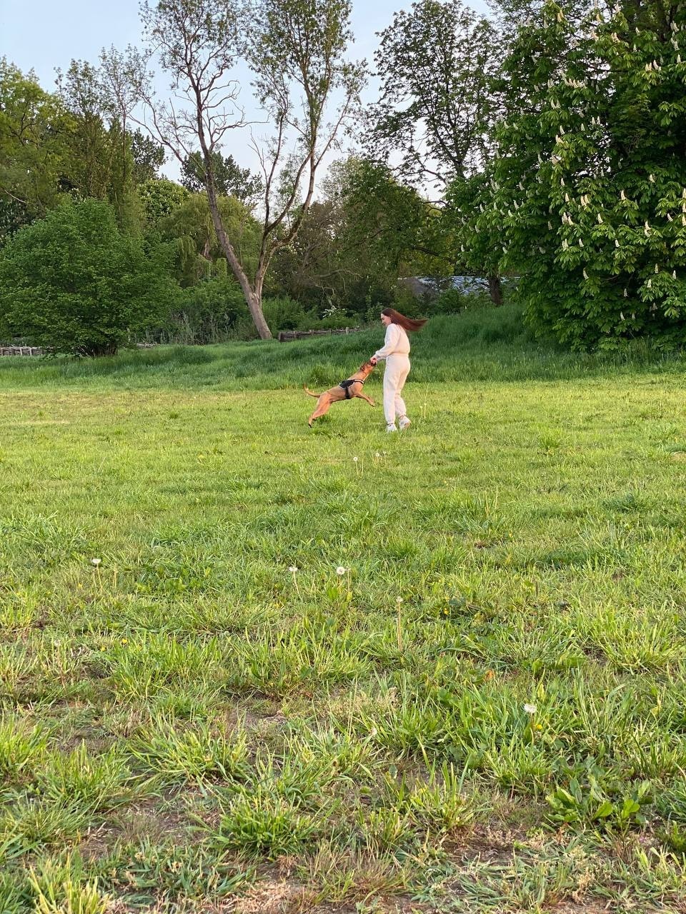 image-27
