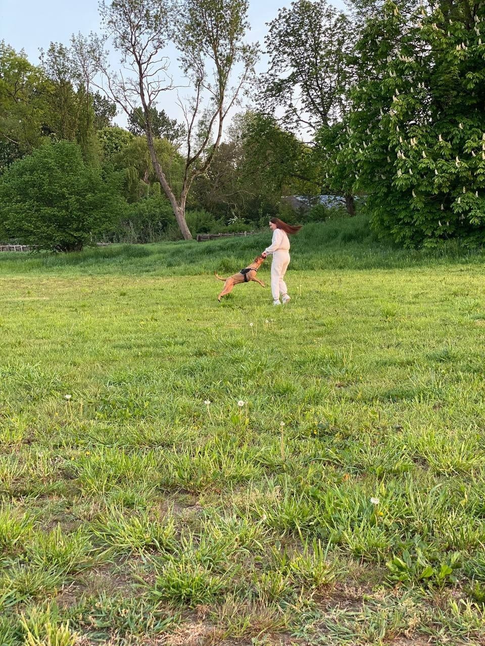 image-27