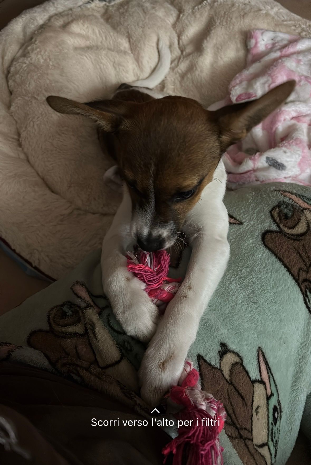 image-8