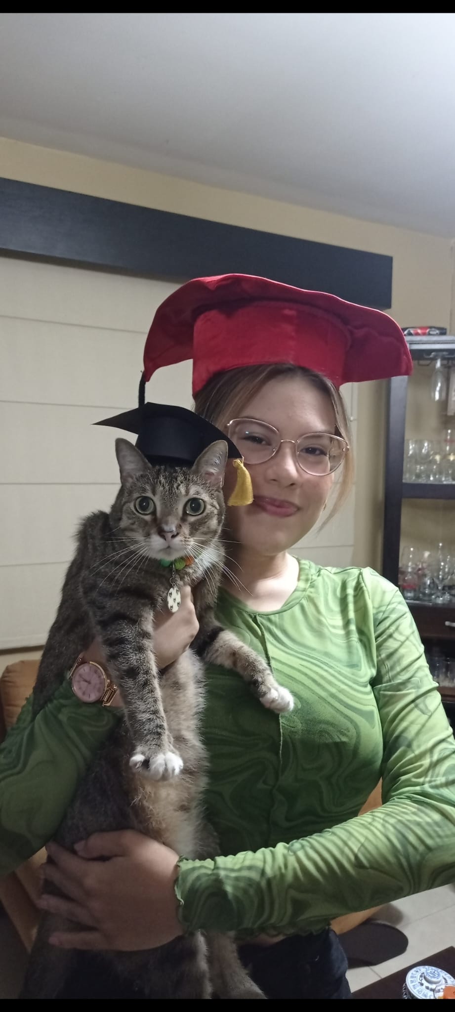 image-6