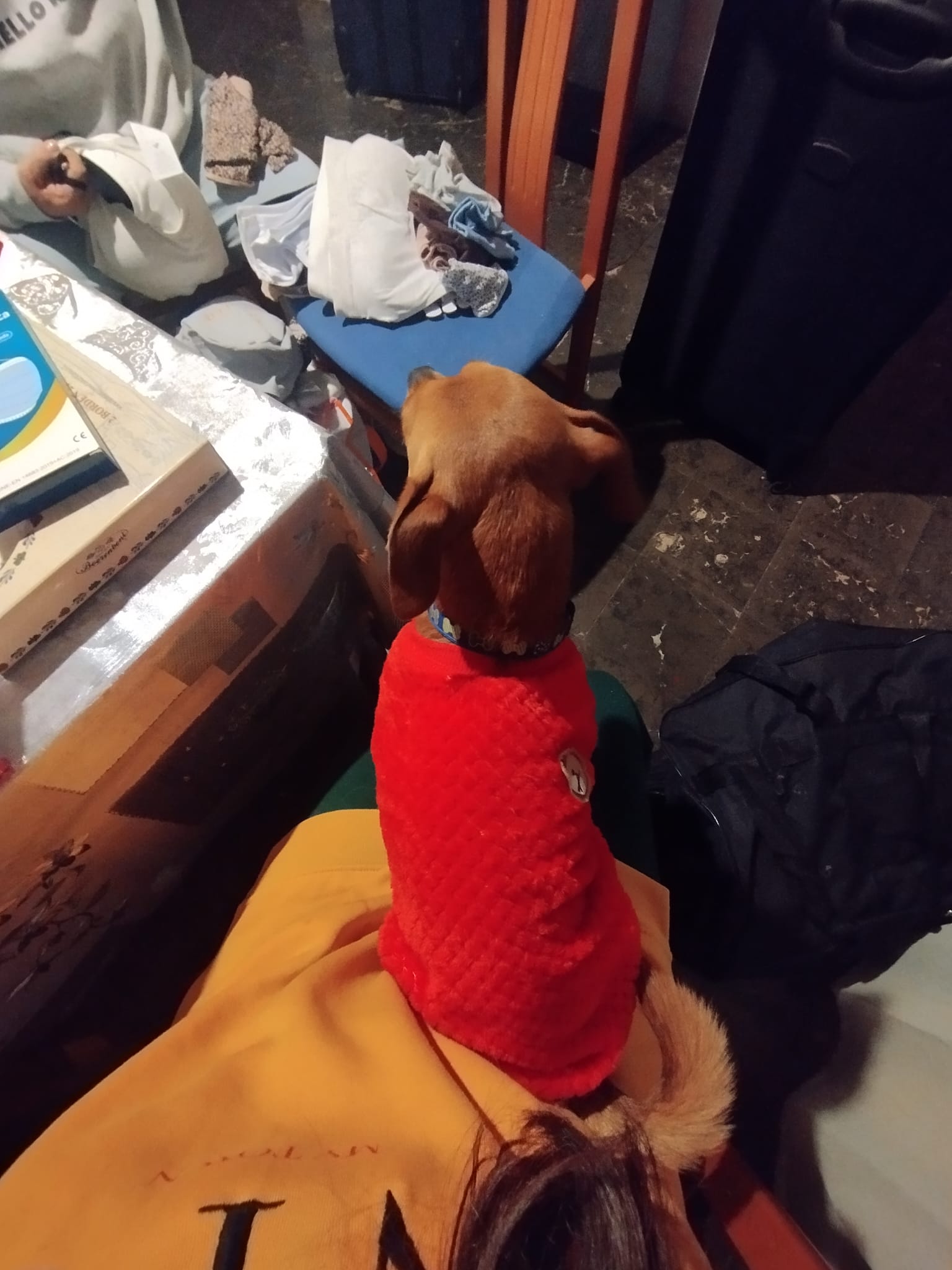 image-10