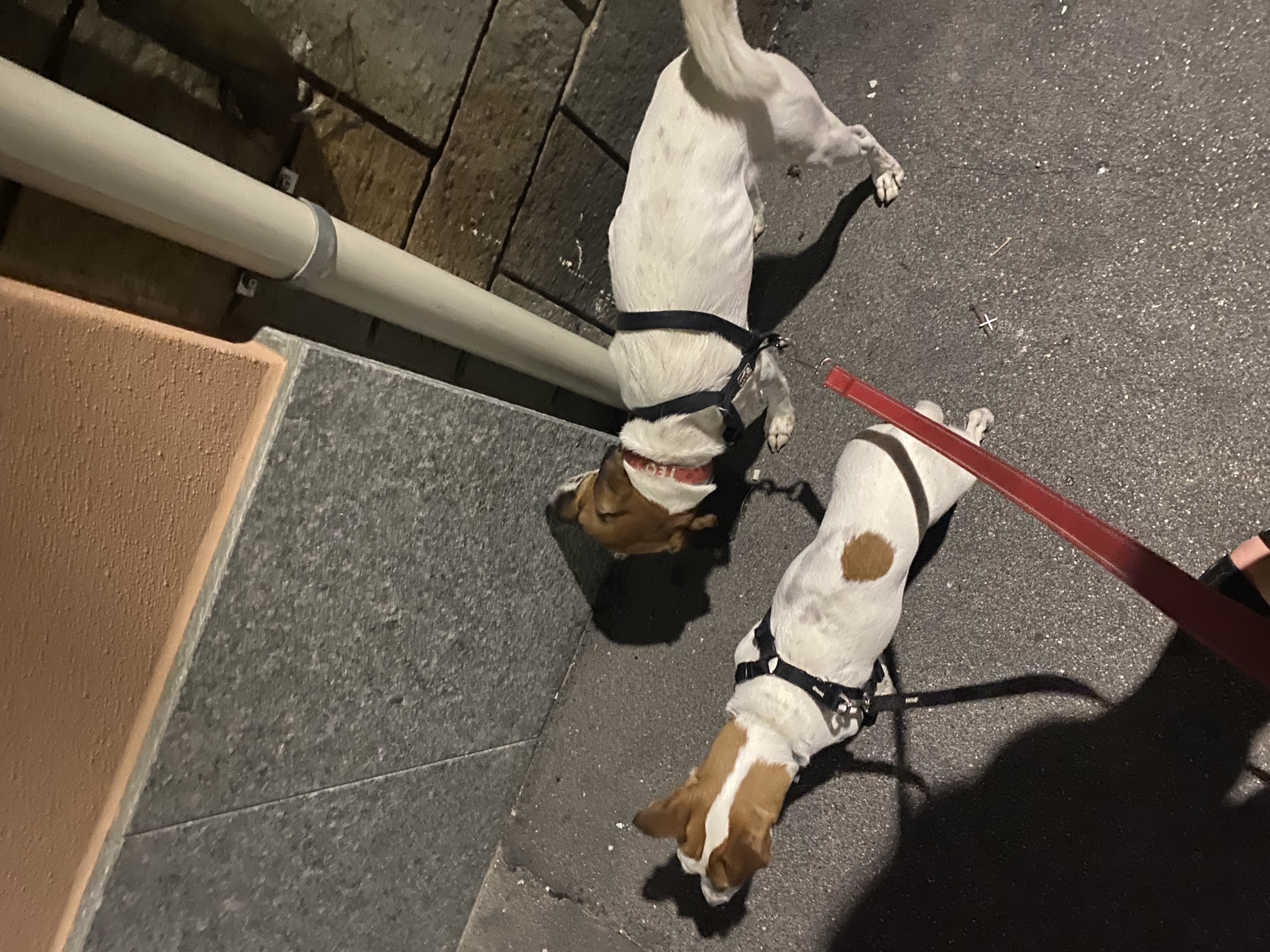 image-16