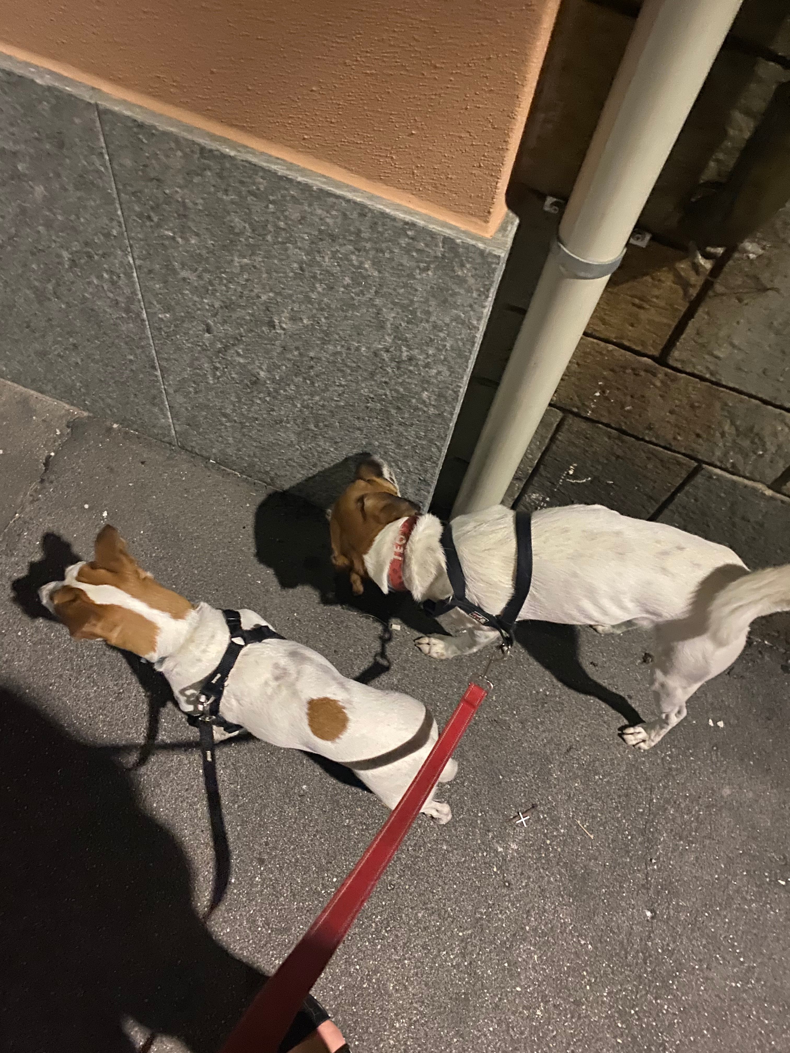 image-16