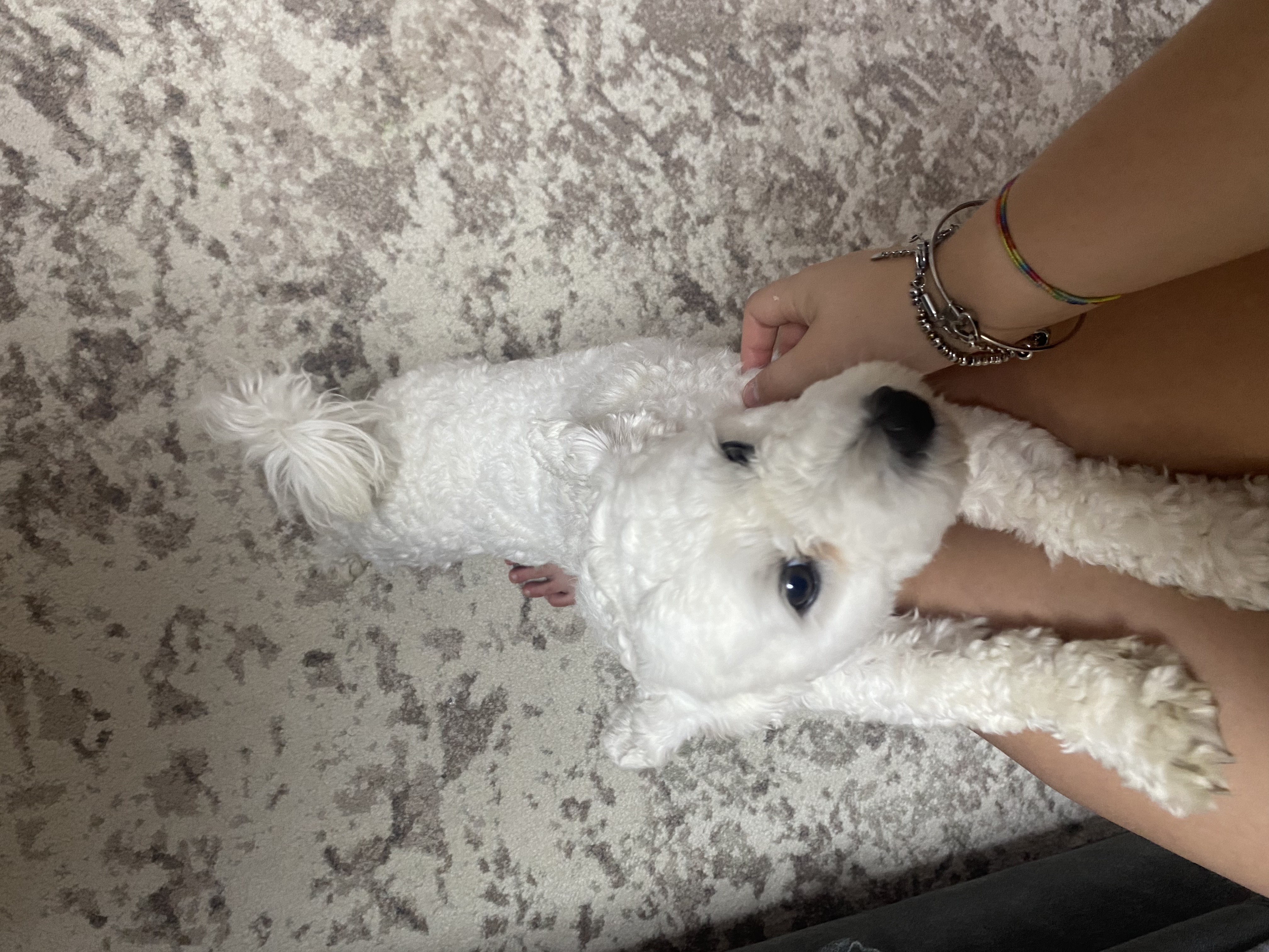 image-5
