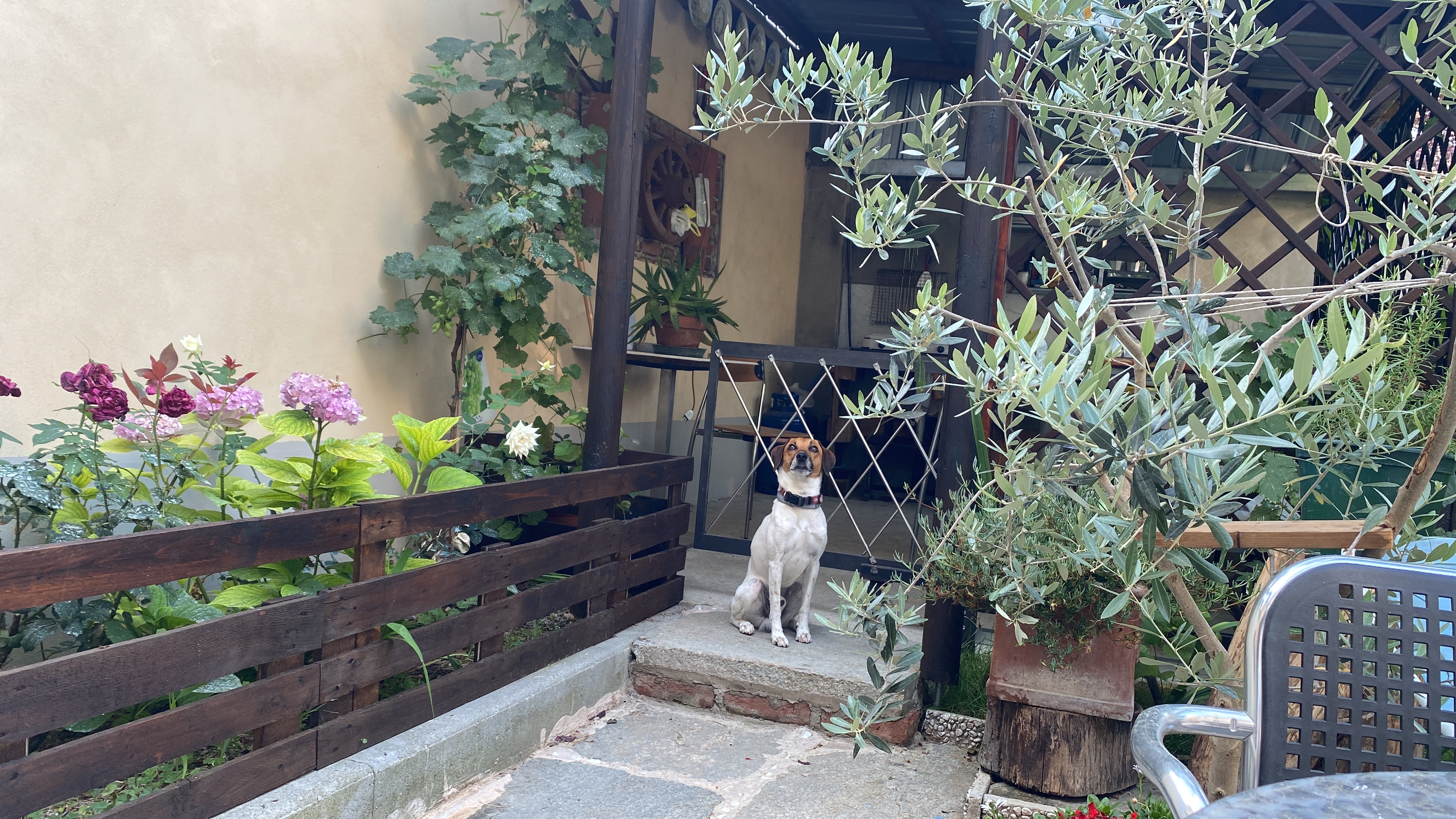 image-17