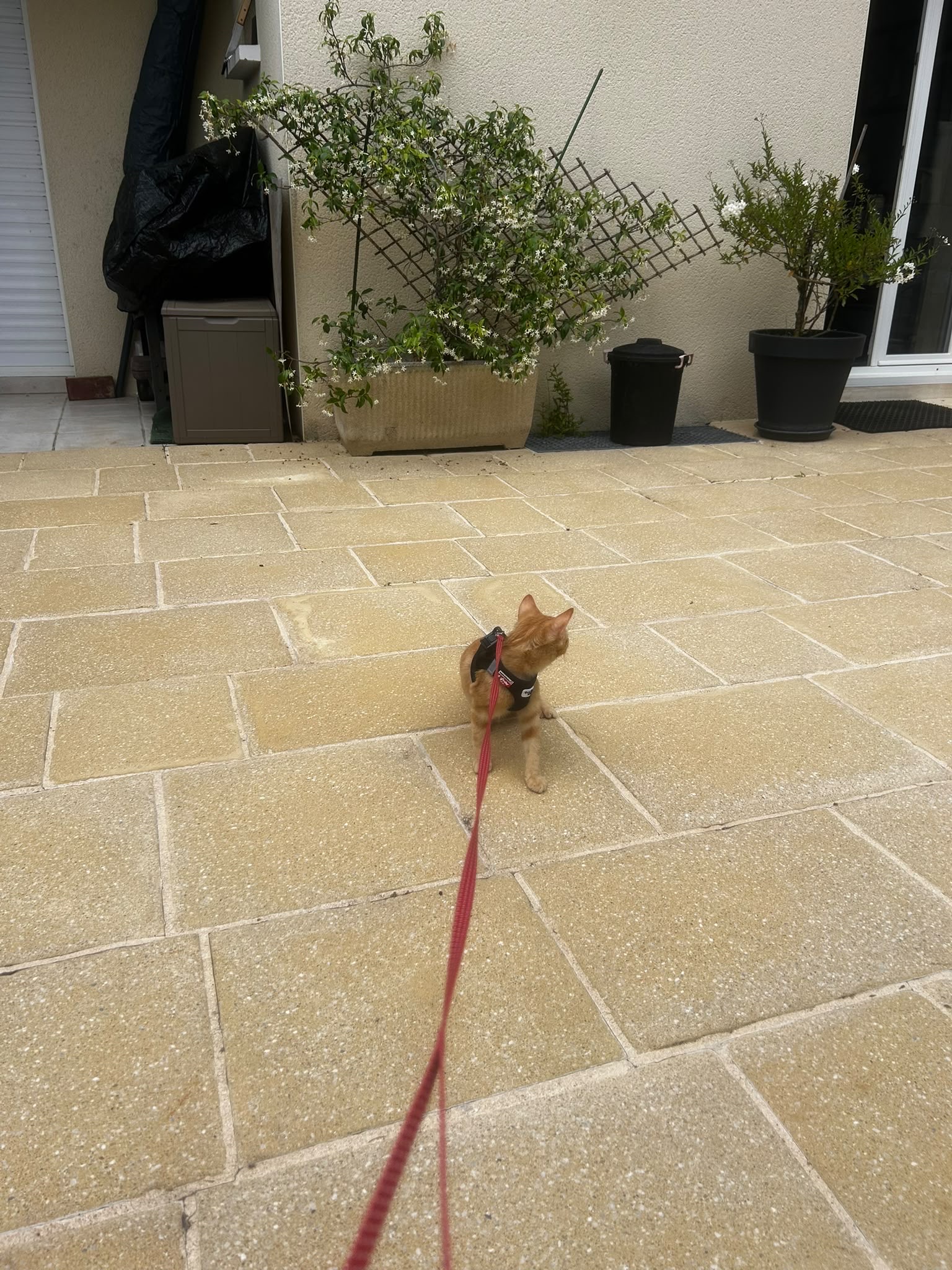 image-5