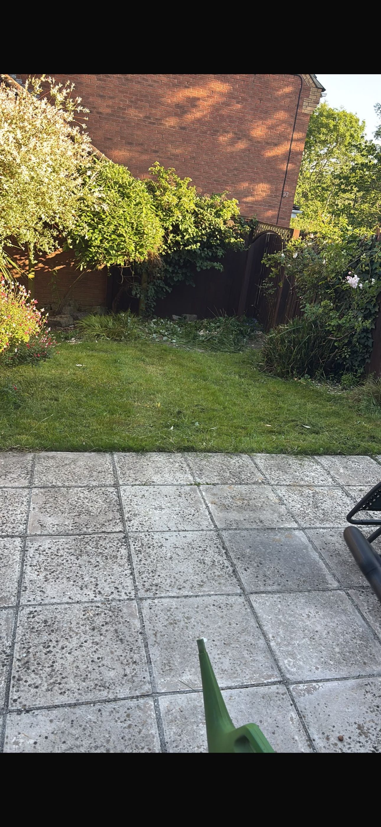 image-17