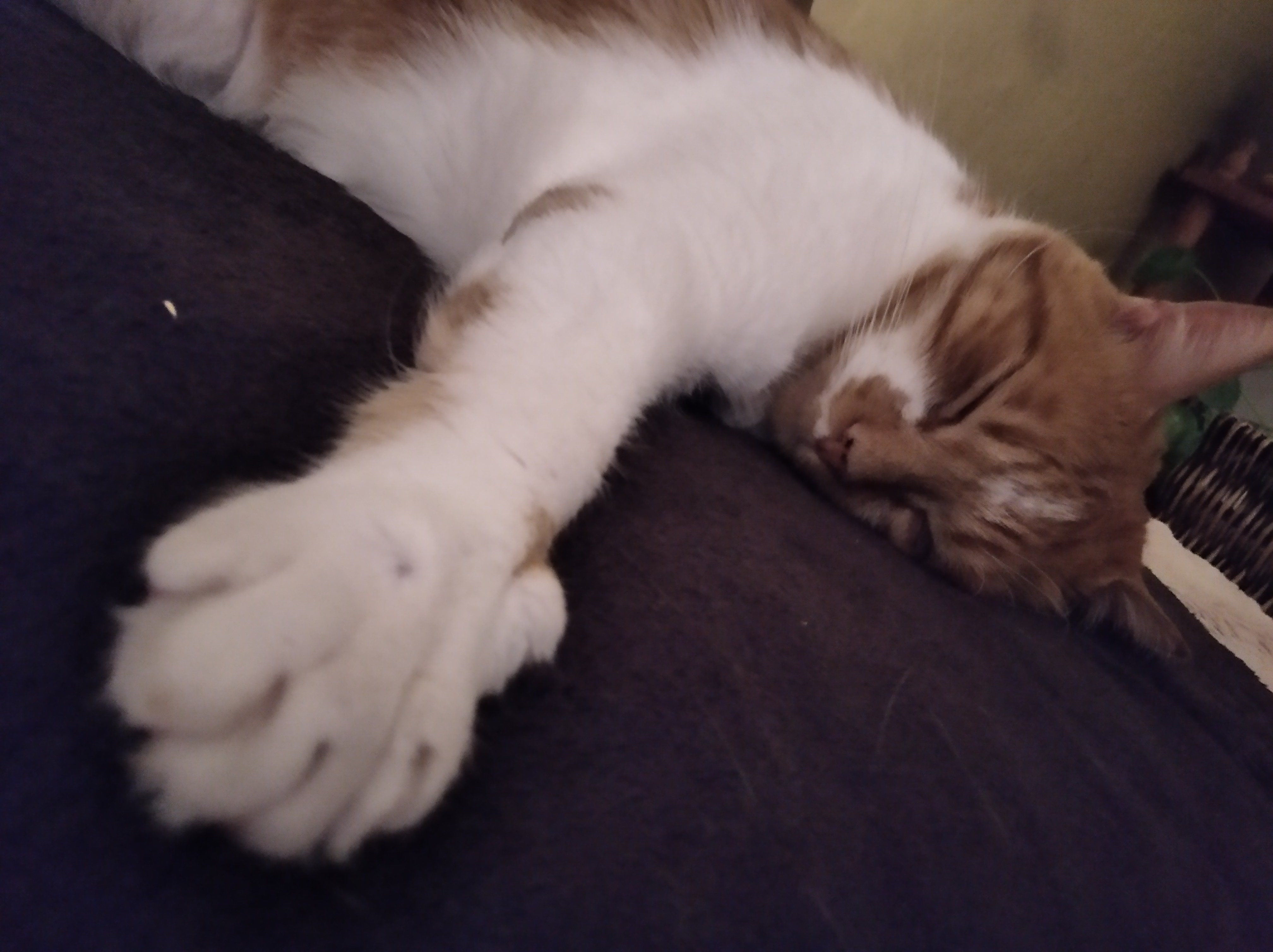 image-7