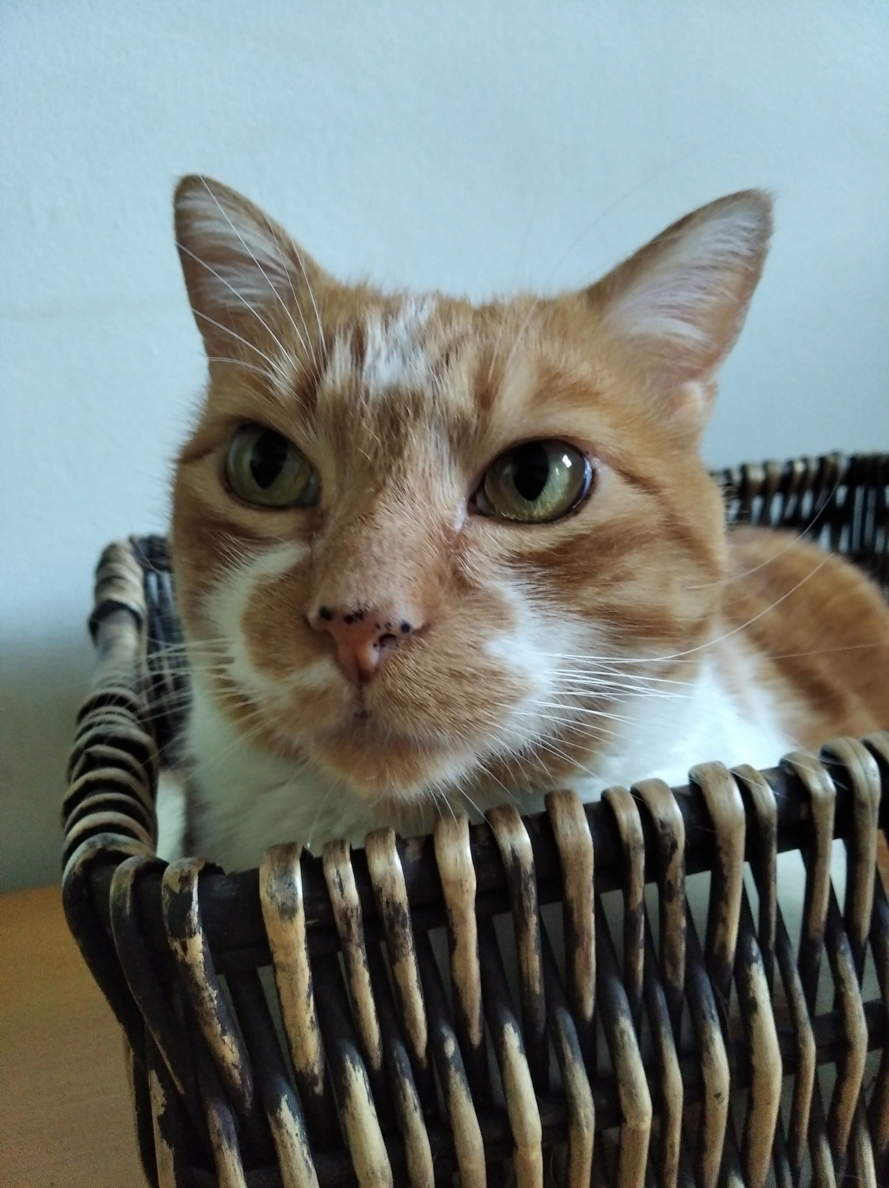 image-8