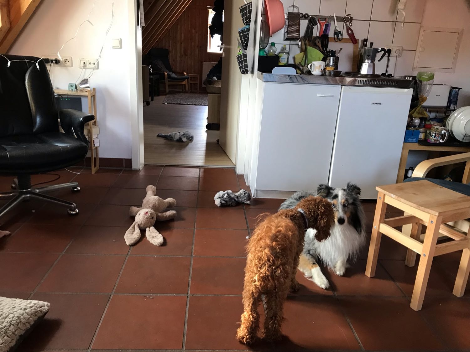 image-16