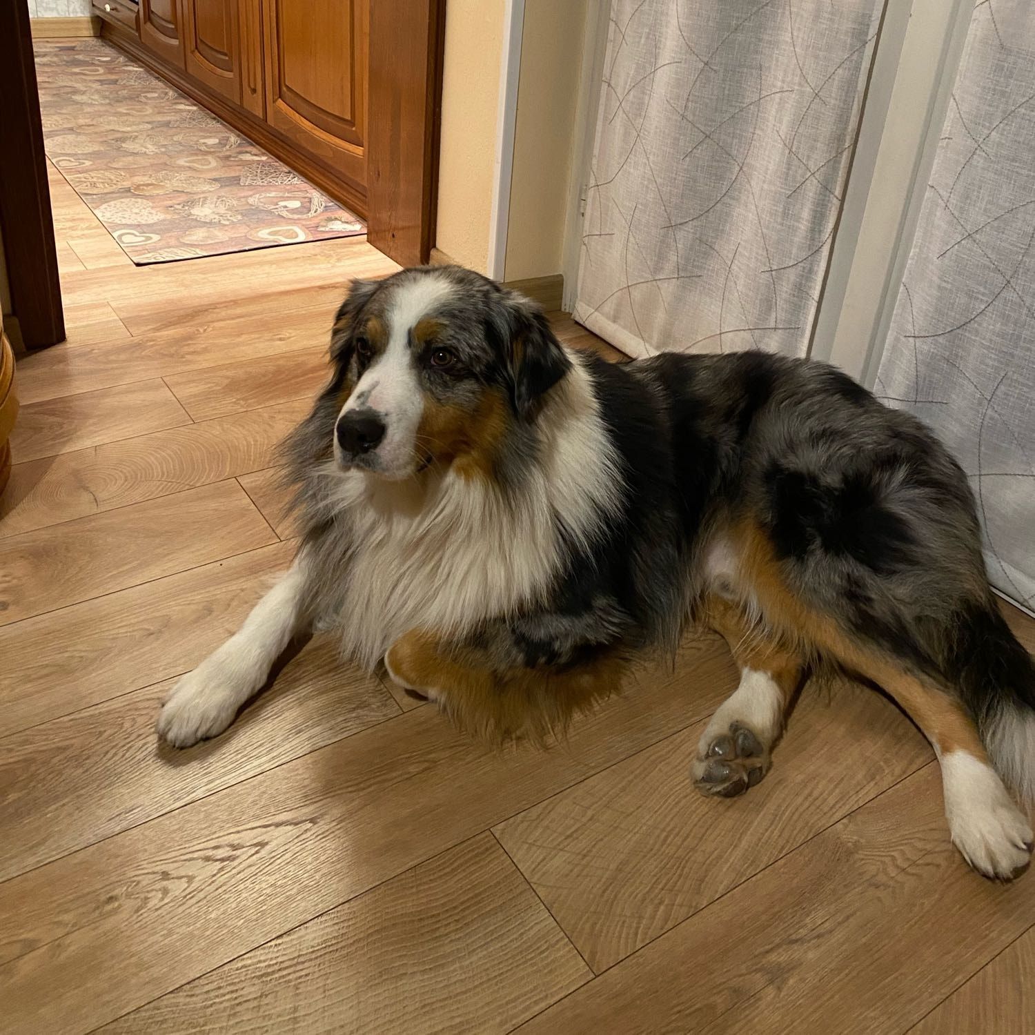 Axel
