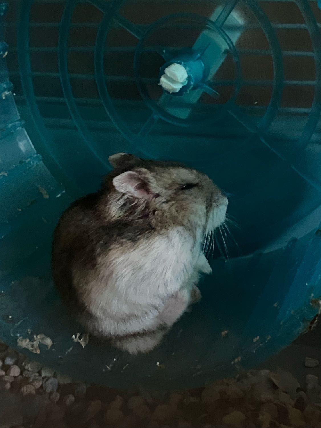 image-12