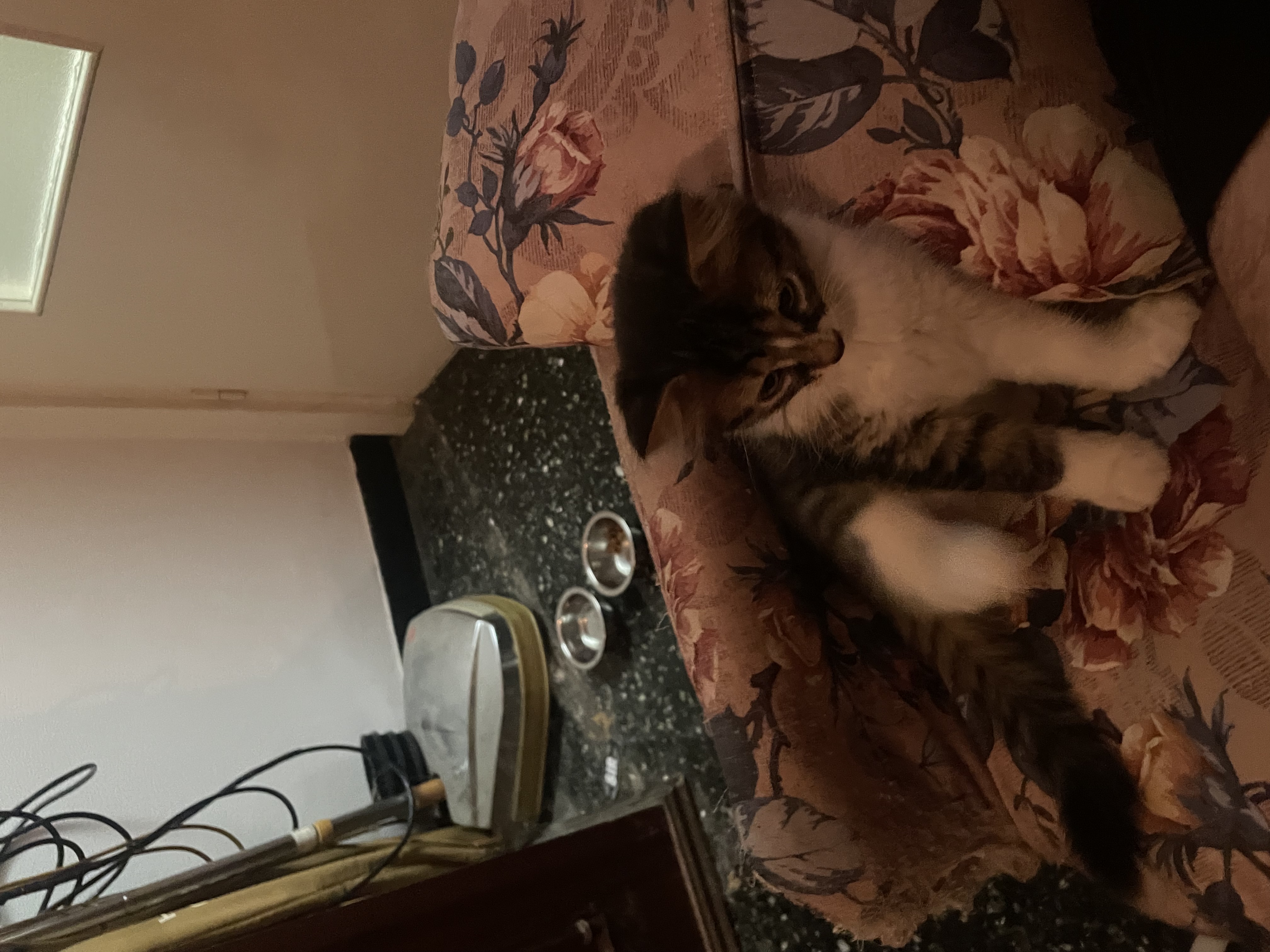 image-6