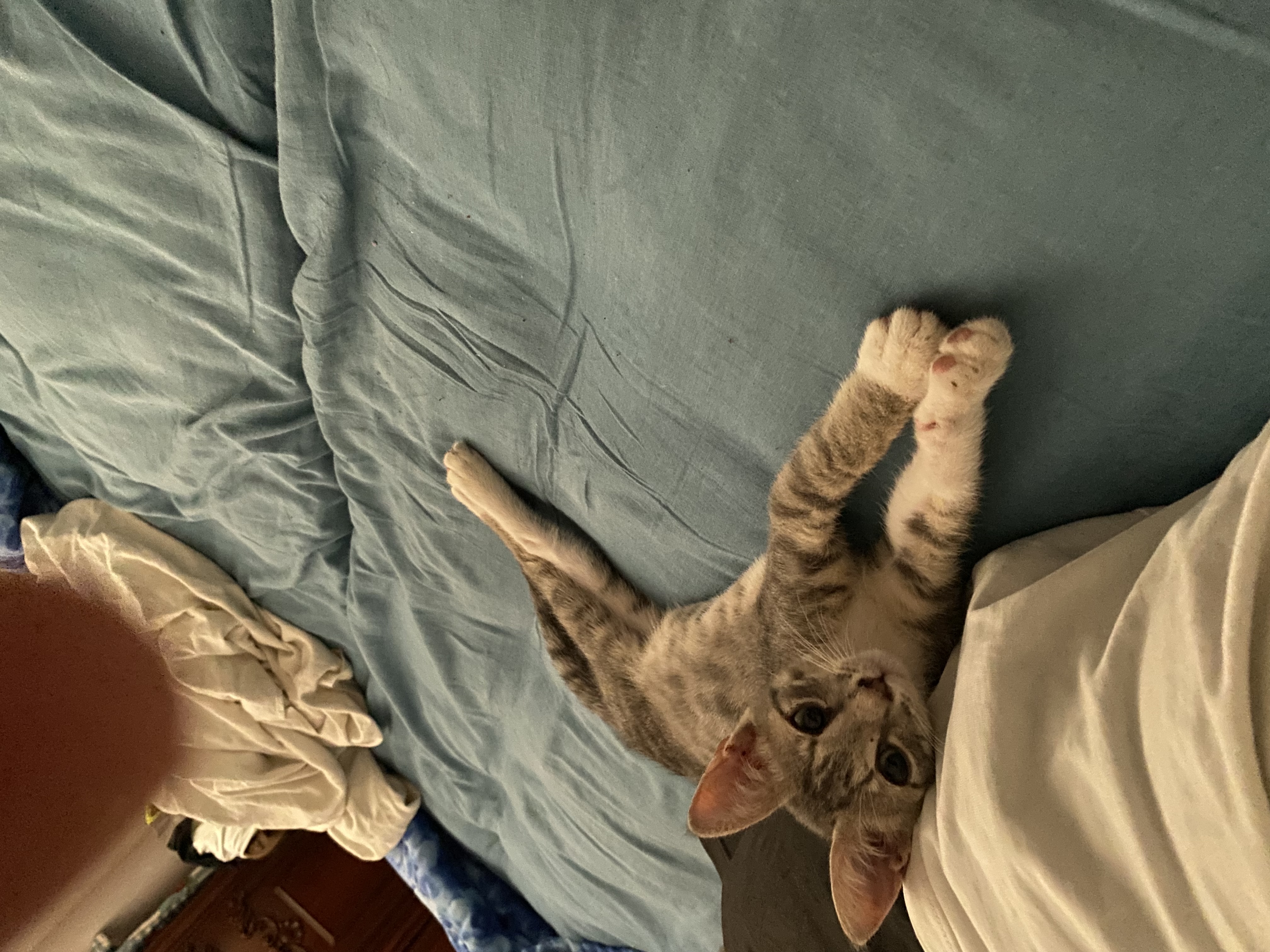 image-8