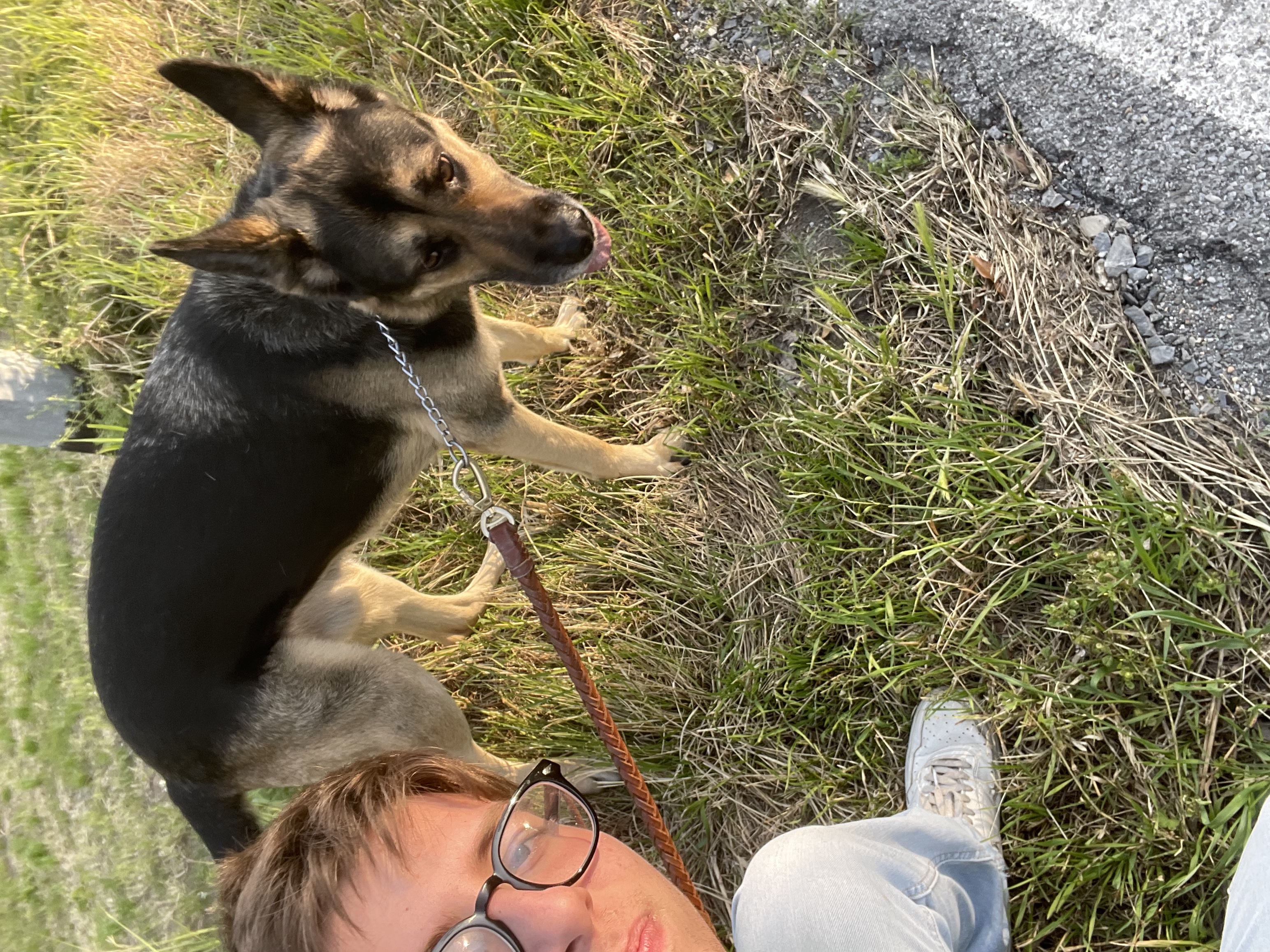 image-1