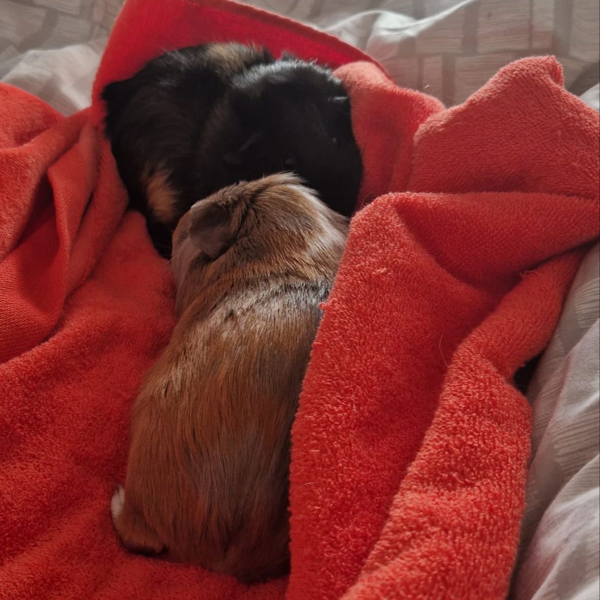 Lilly and Edna