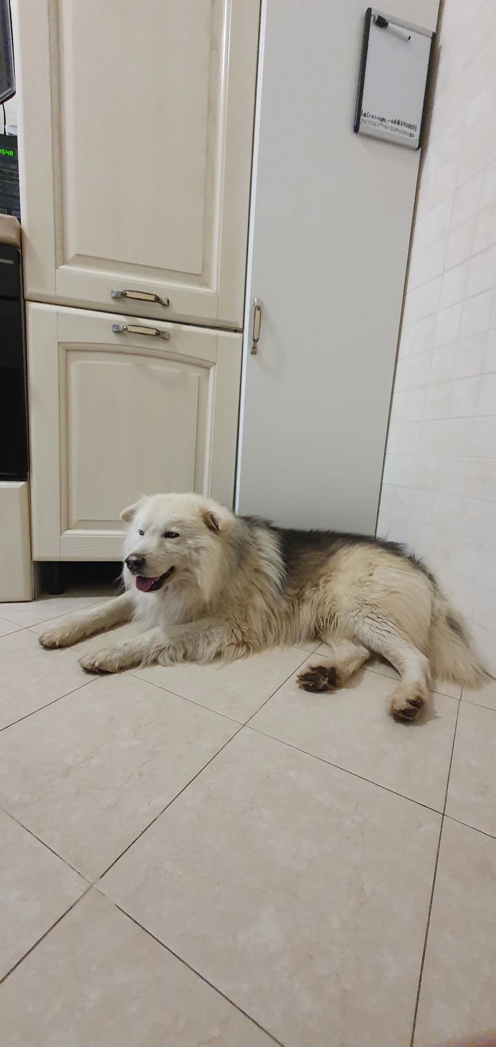 image-24