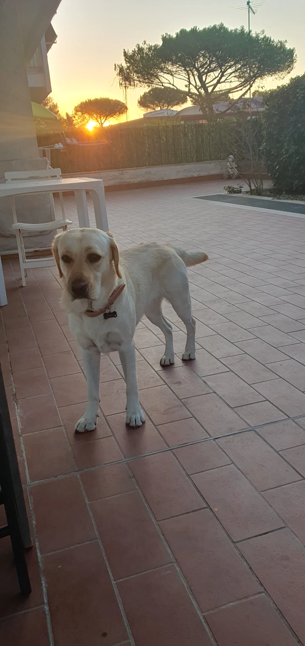 image-35