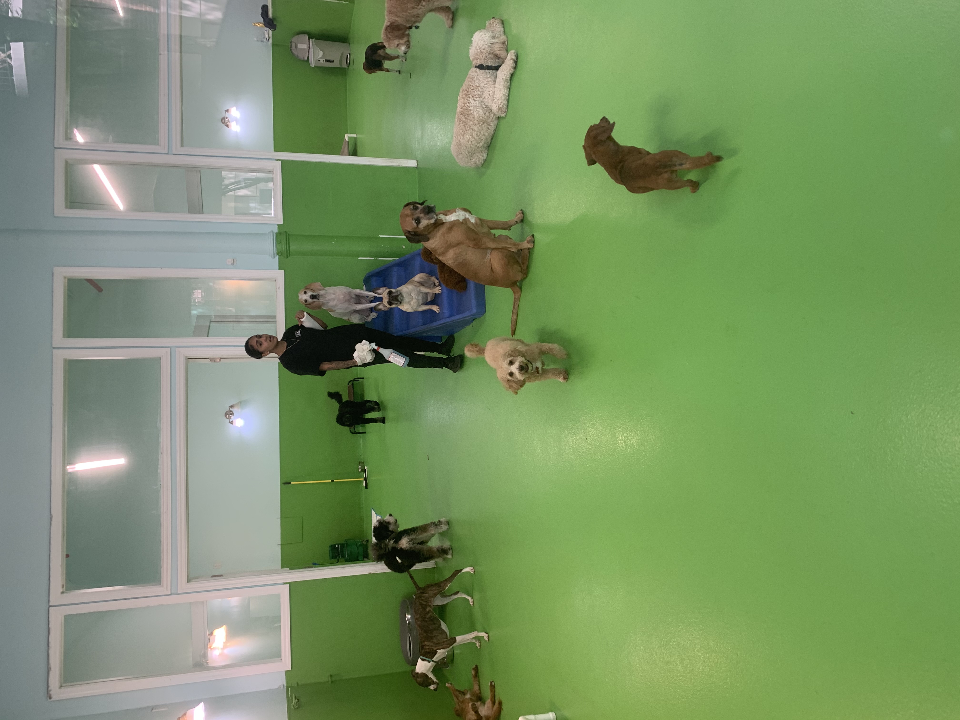 image-7