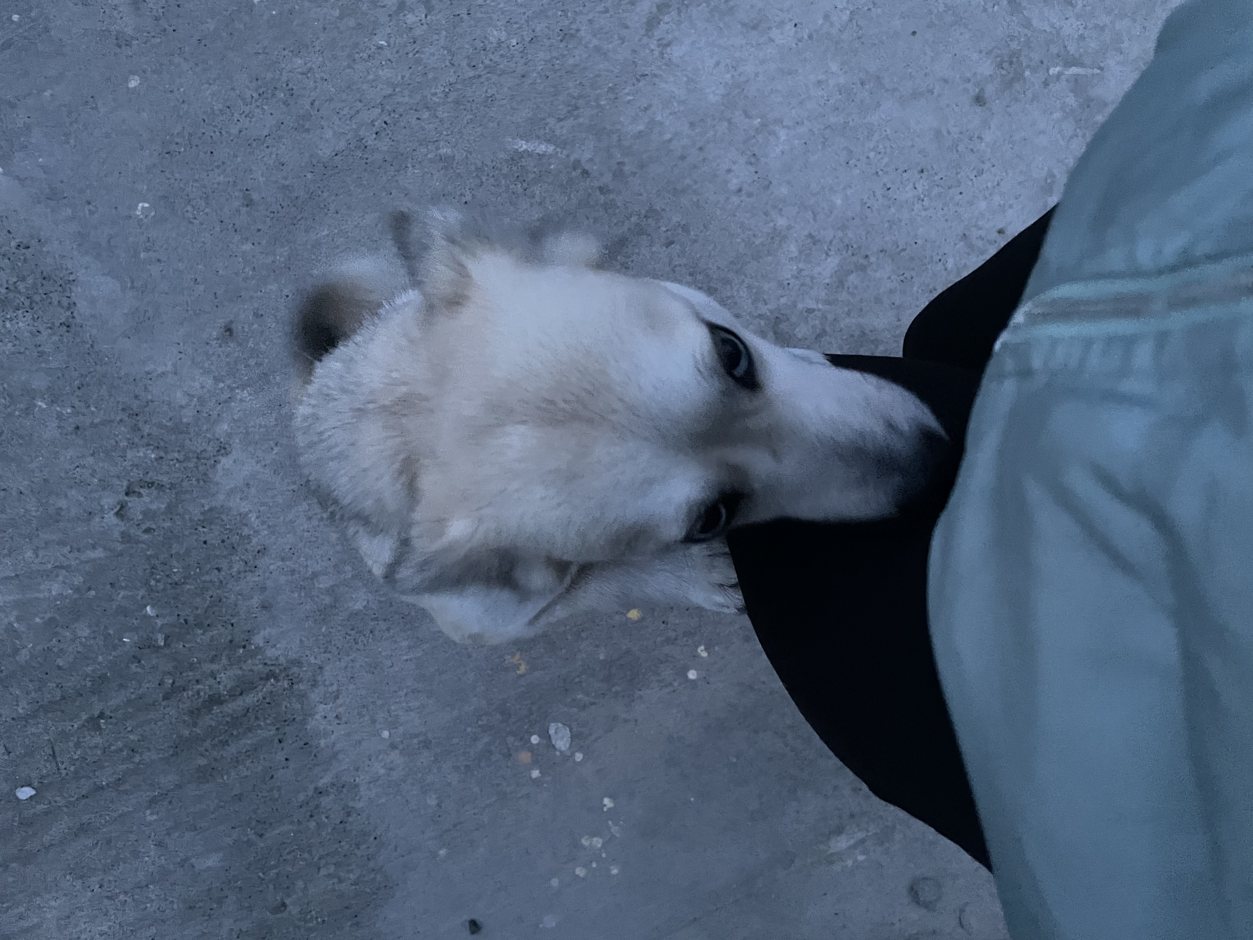 image-9
