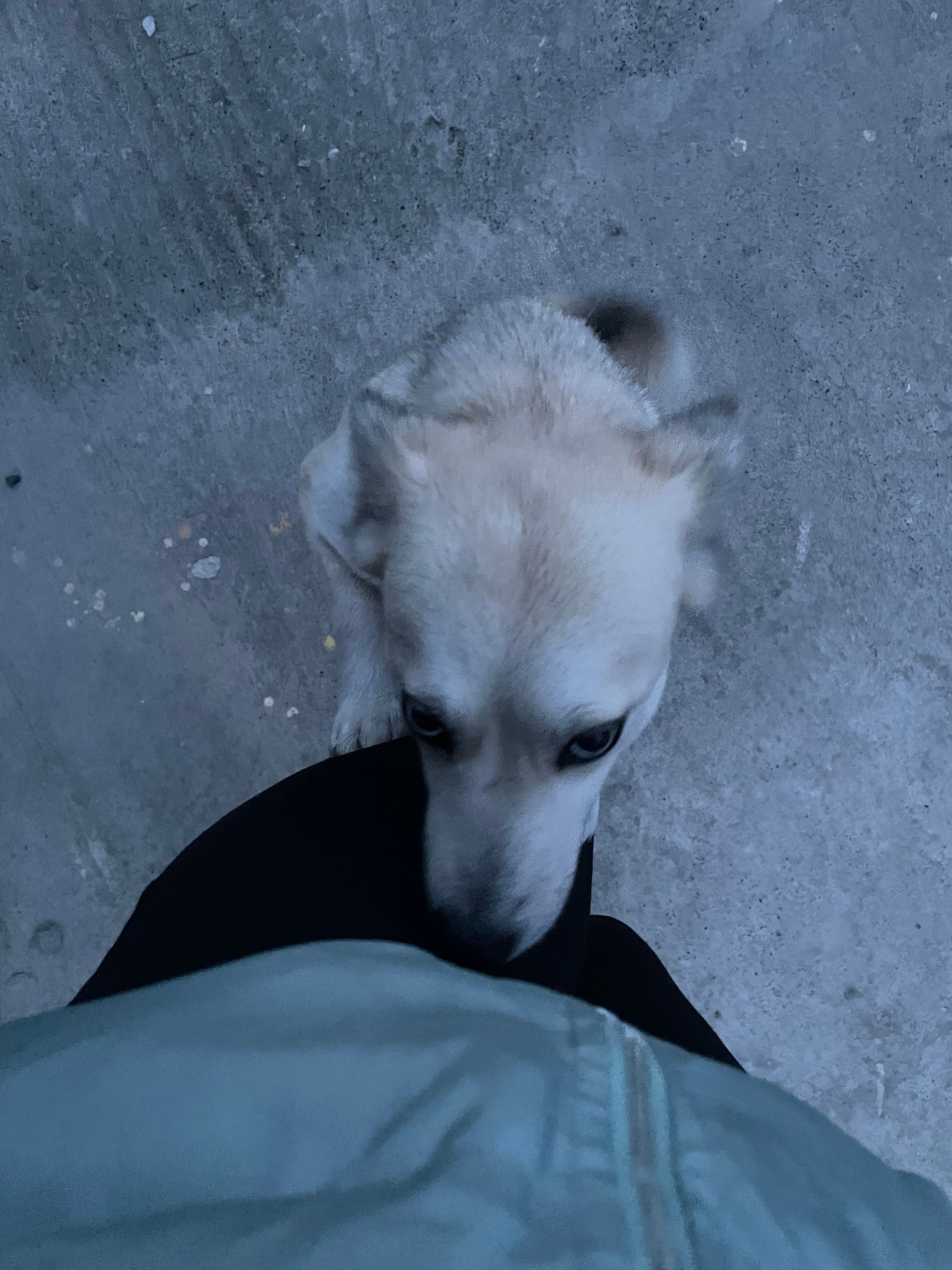 image-9