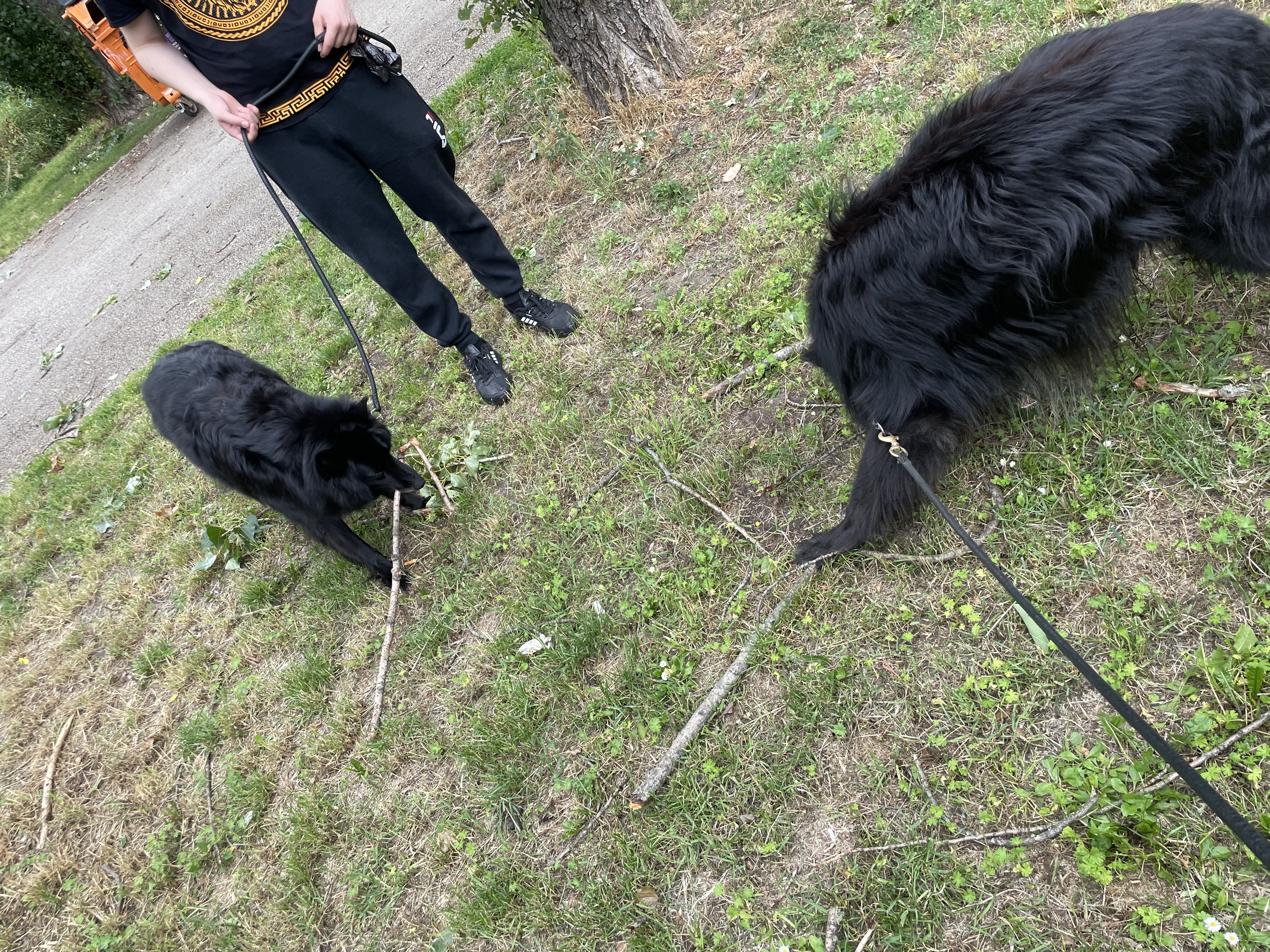image-8